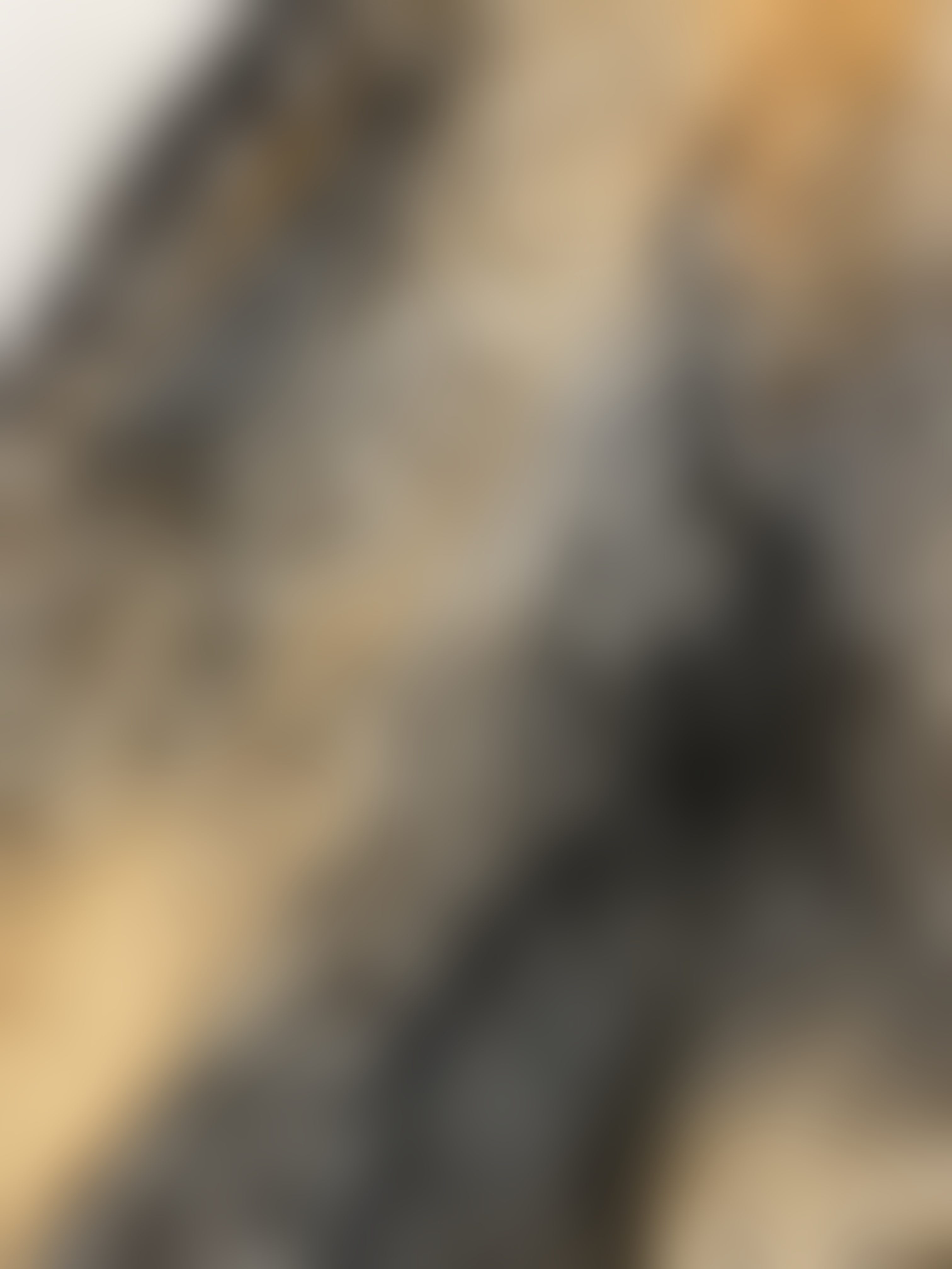 Eingereichtes Pelzstück – Beispiel 54 Bild 4