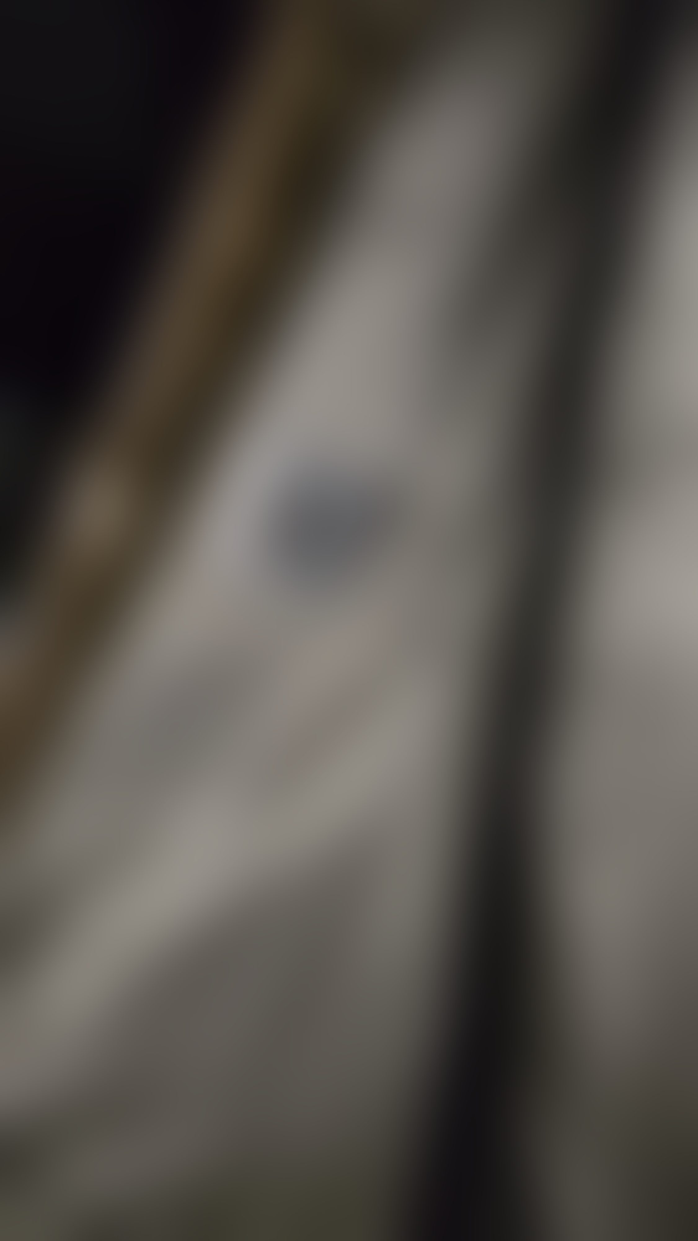 Eingereichtes Pelzstück – Beispiel 51 Bild 1