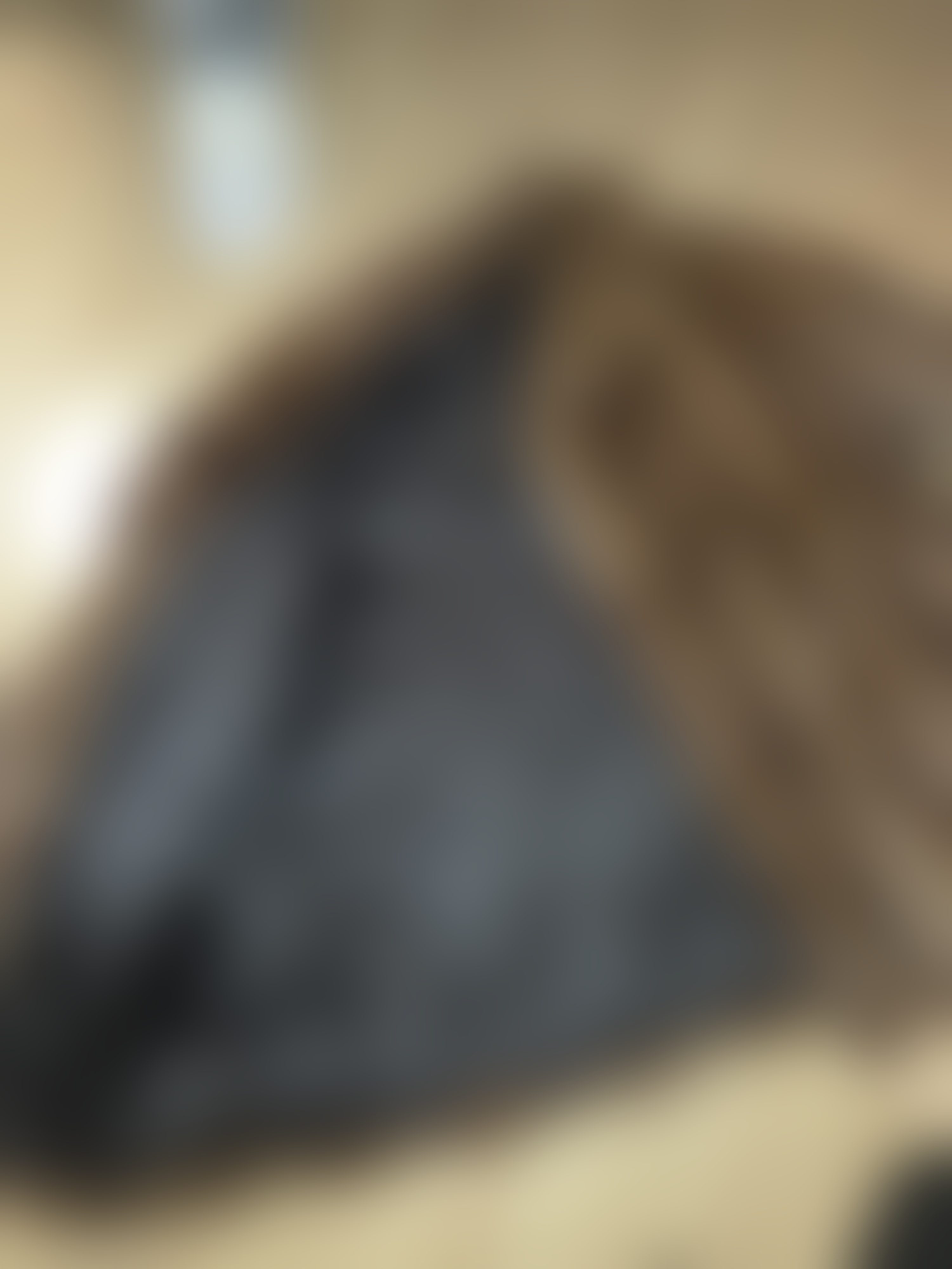 Eingereichtes Pelzstück – Beispiel 1 Bild 4