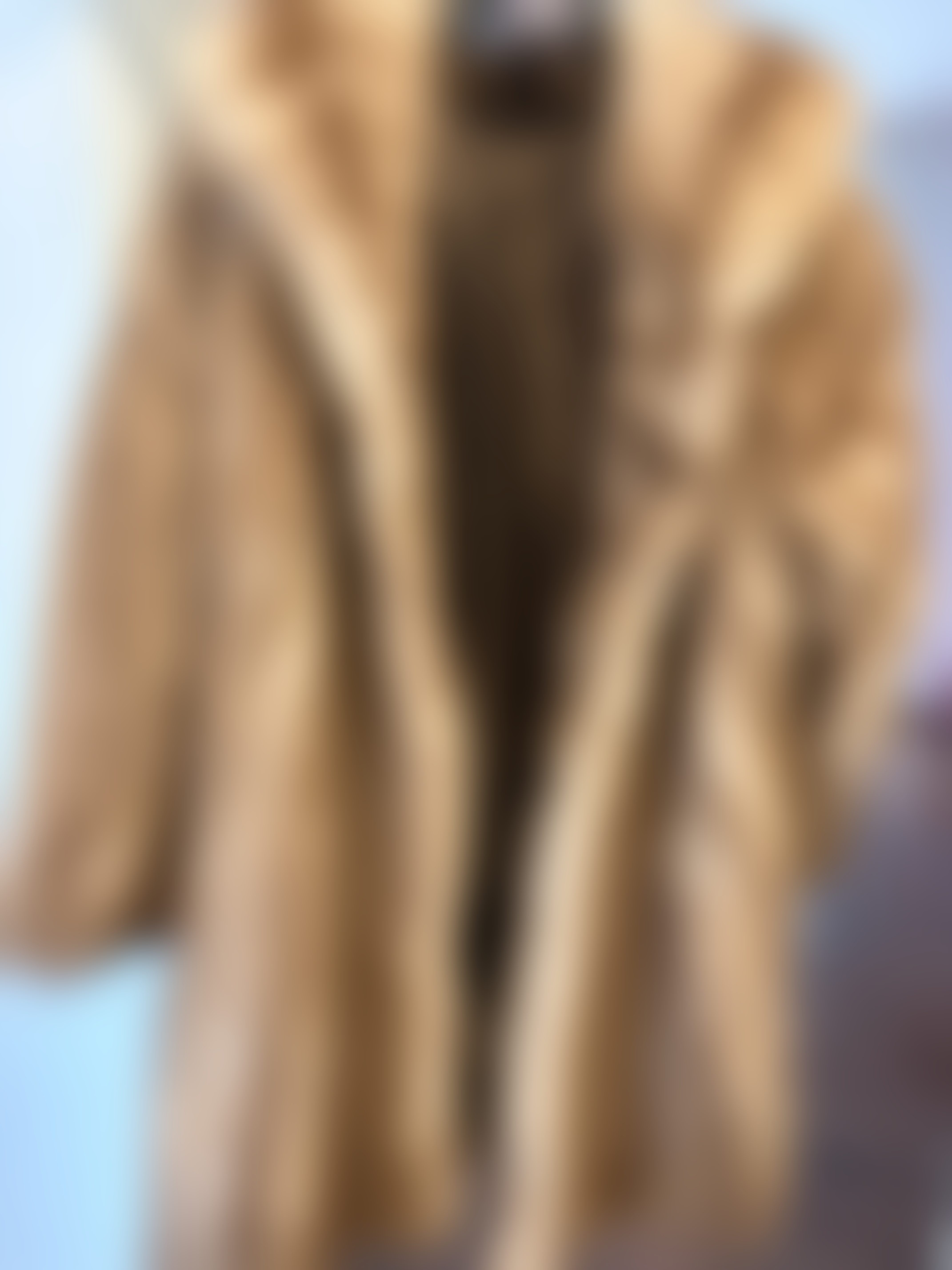 Eingereichtes Pelzstück – Beispiel 1 Bild 1