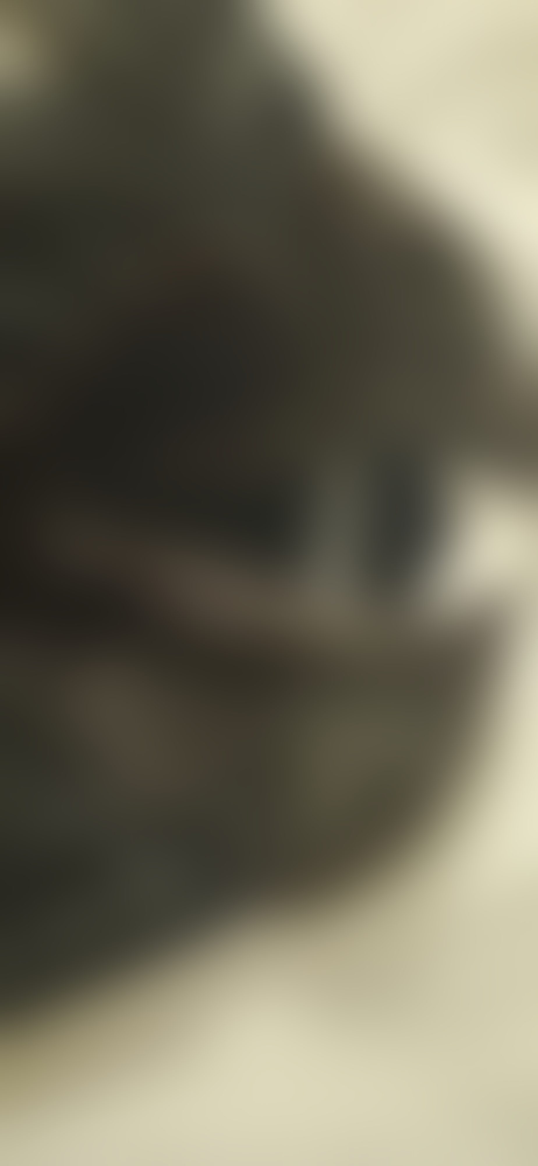 Eingereichtes Pelzstück – Beispiel 1 Bild 4