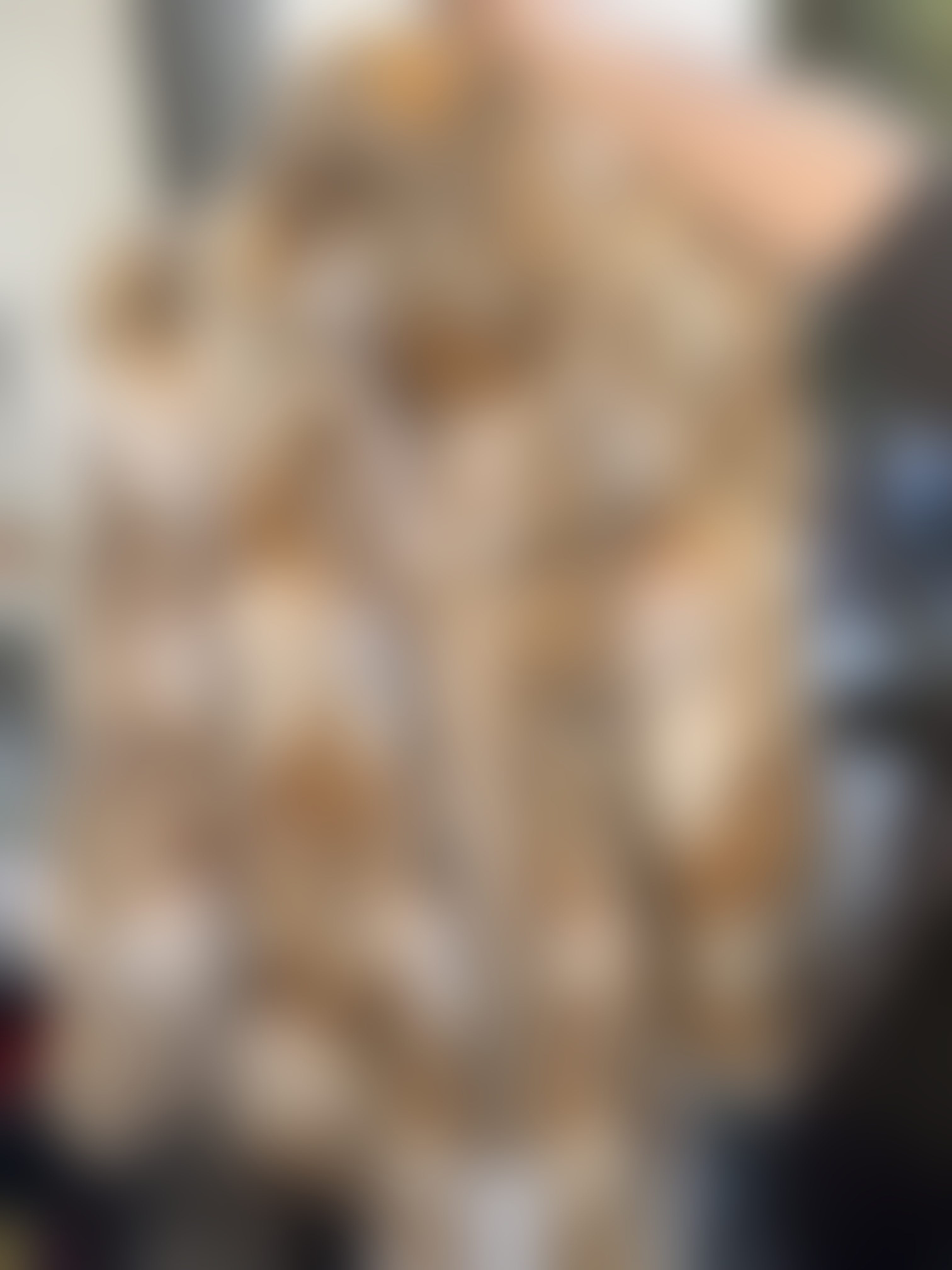 Eingereichtes Pelzstück – Beispiel 4 Bild 3