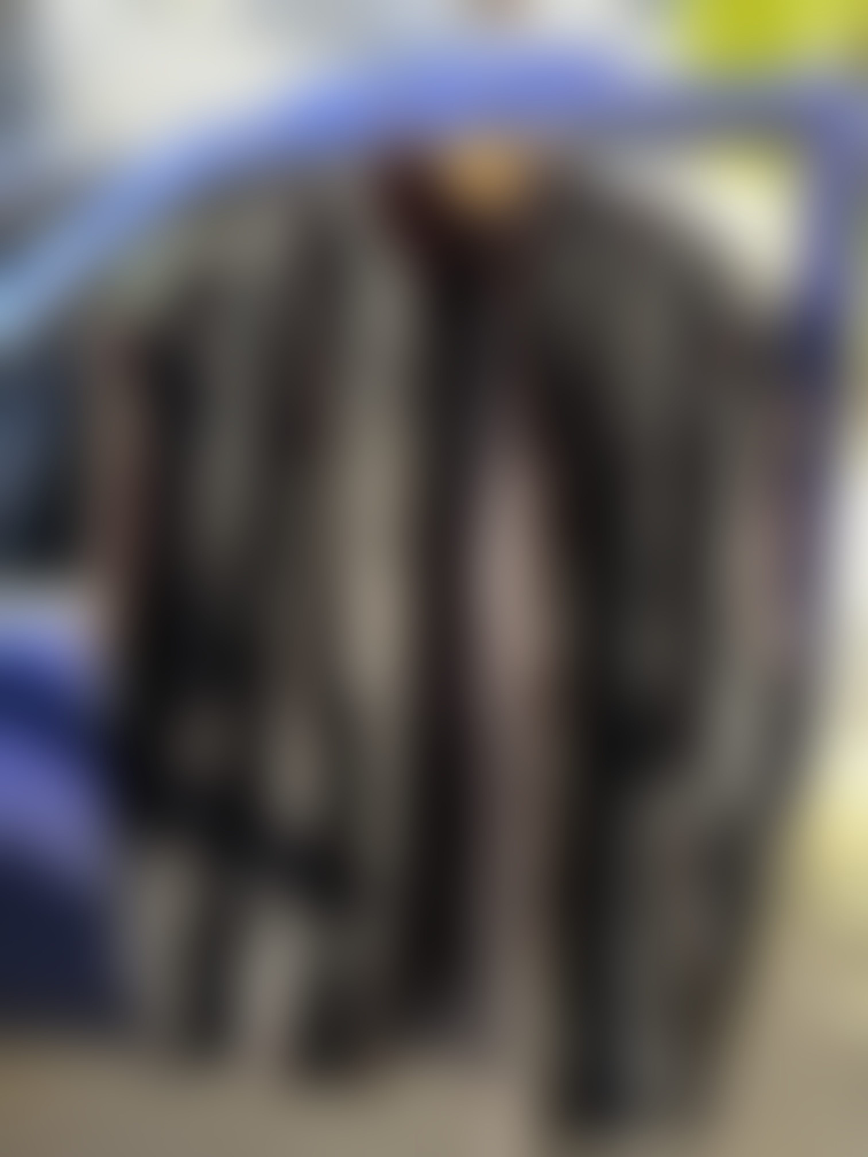 Eingereichtes Pelzstück – Beispiel 2 Bild 1