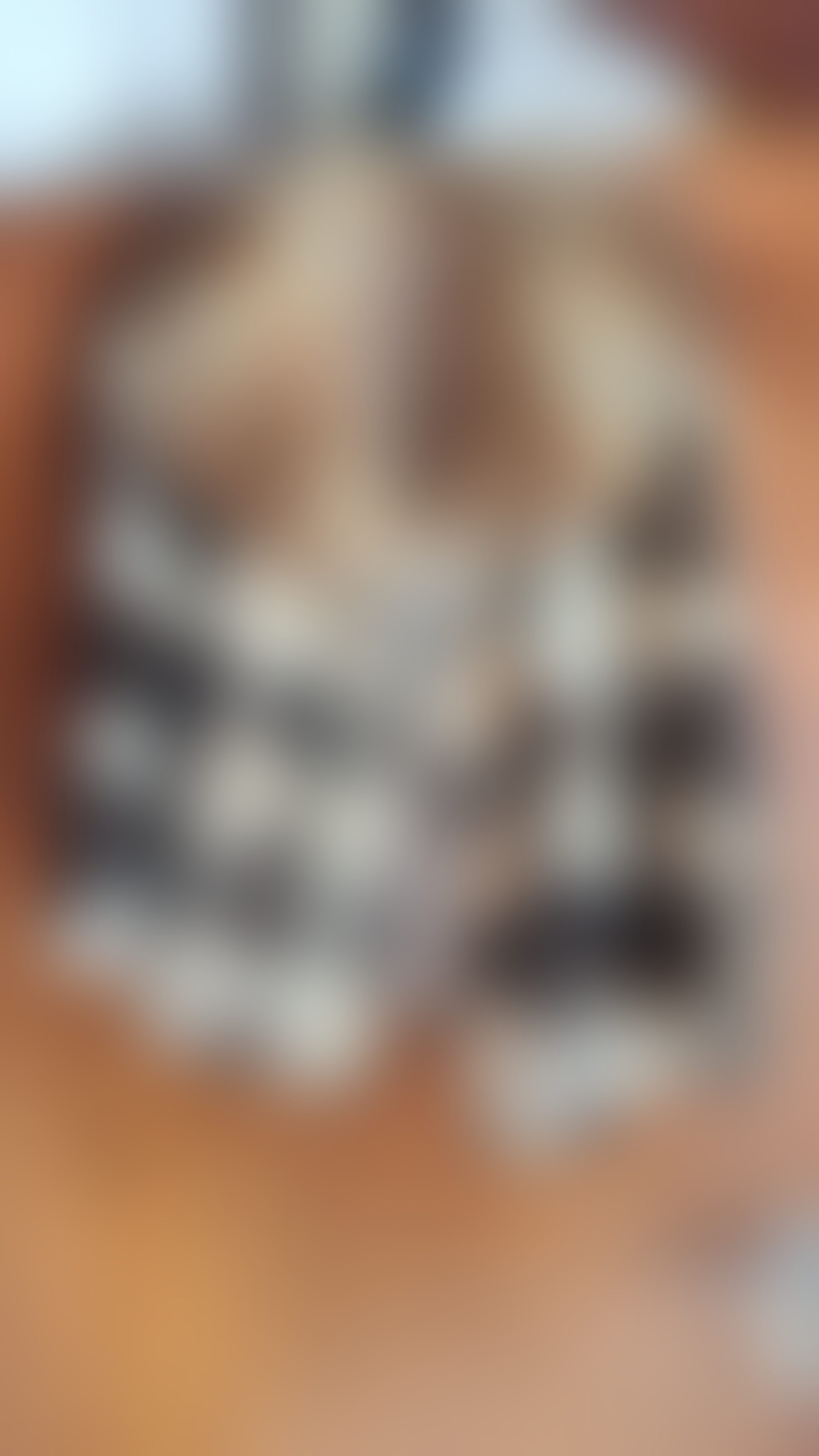 Eingereichtes Pelzstück – Beispiel 249 Bild 8