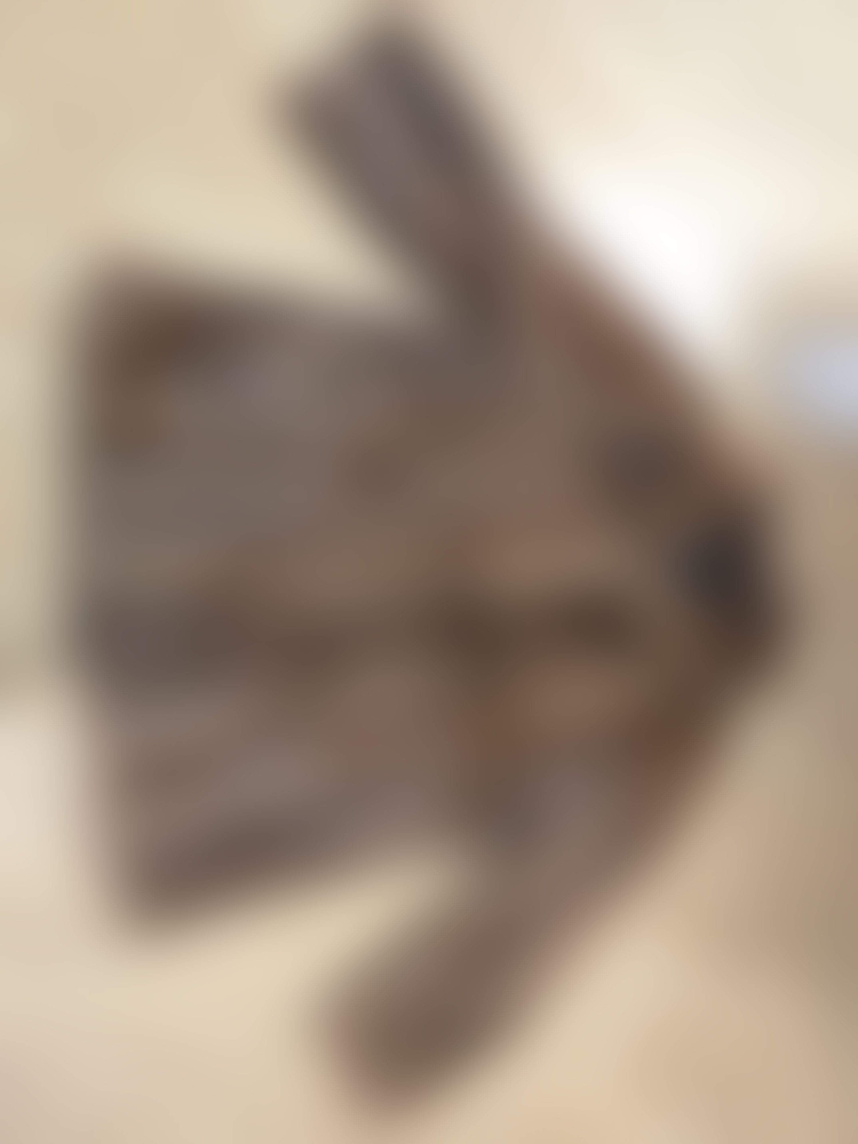 Eingereichtes Pelzstück – Beispiel 1 Bild 5