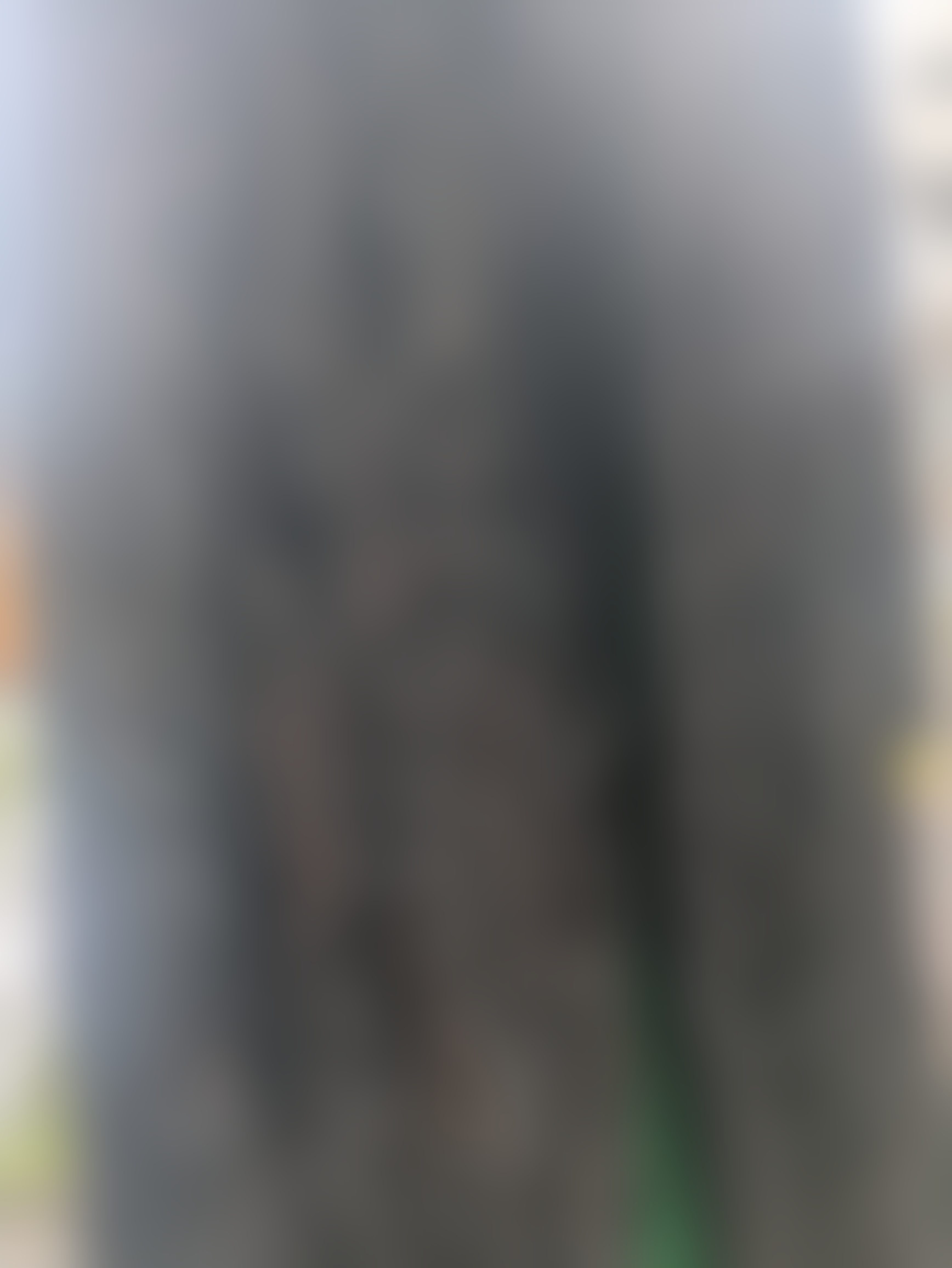 Eingereichtes Pelzstück – Beispiel 34 Bild 4