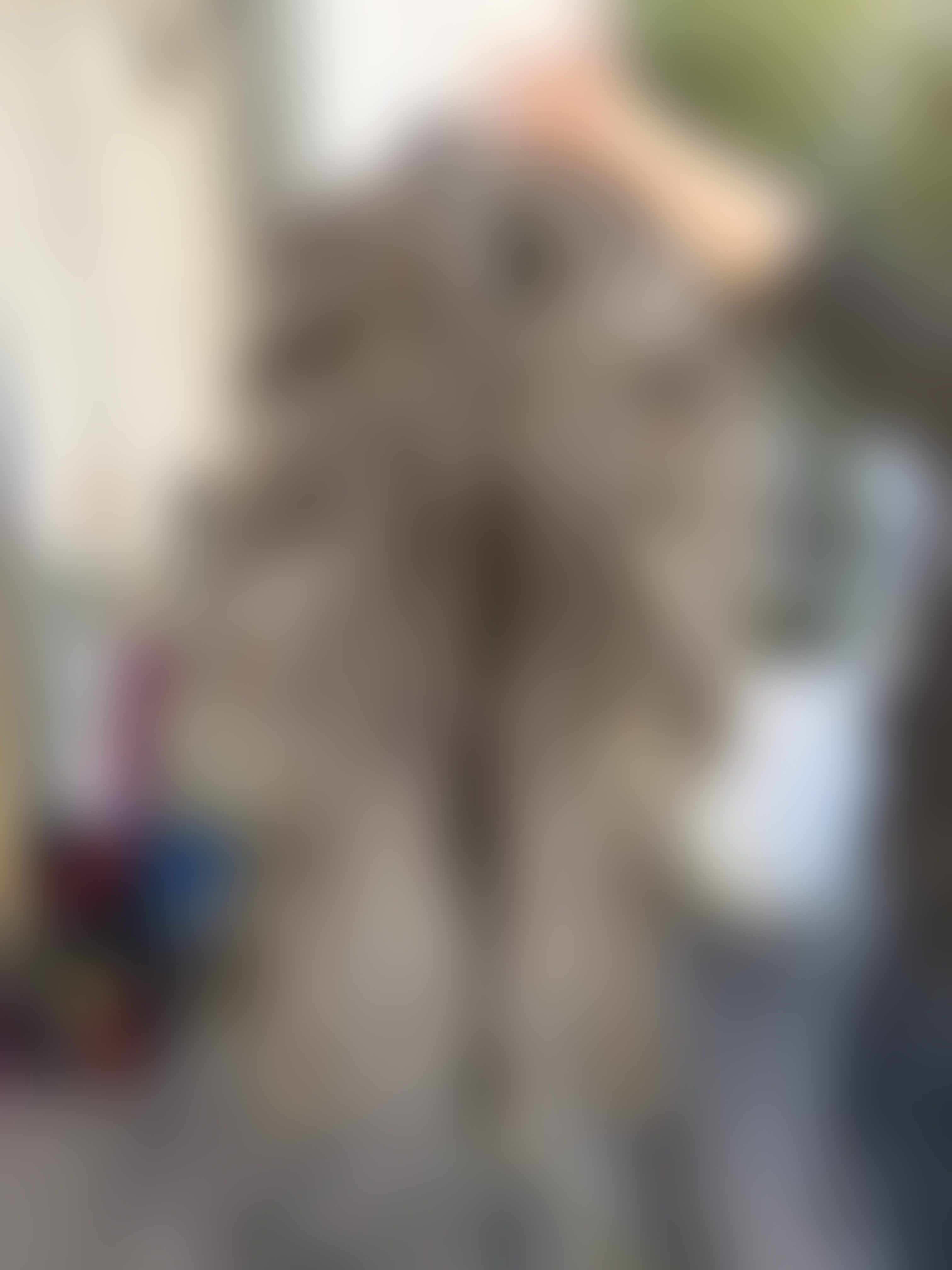 Eingereichtes Pelzstück – Beispiel 1 Bild 1