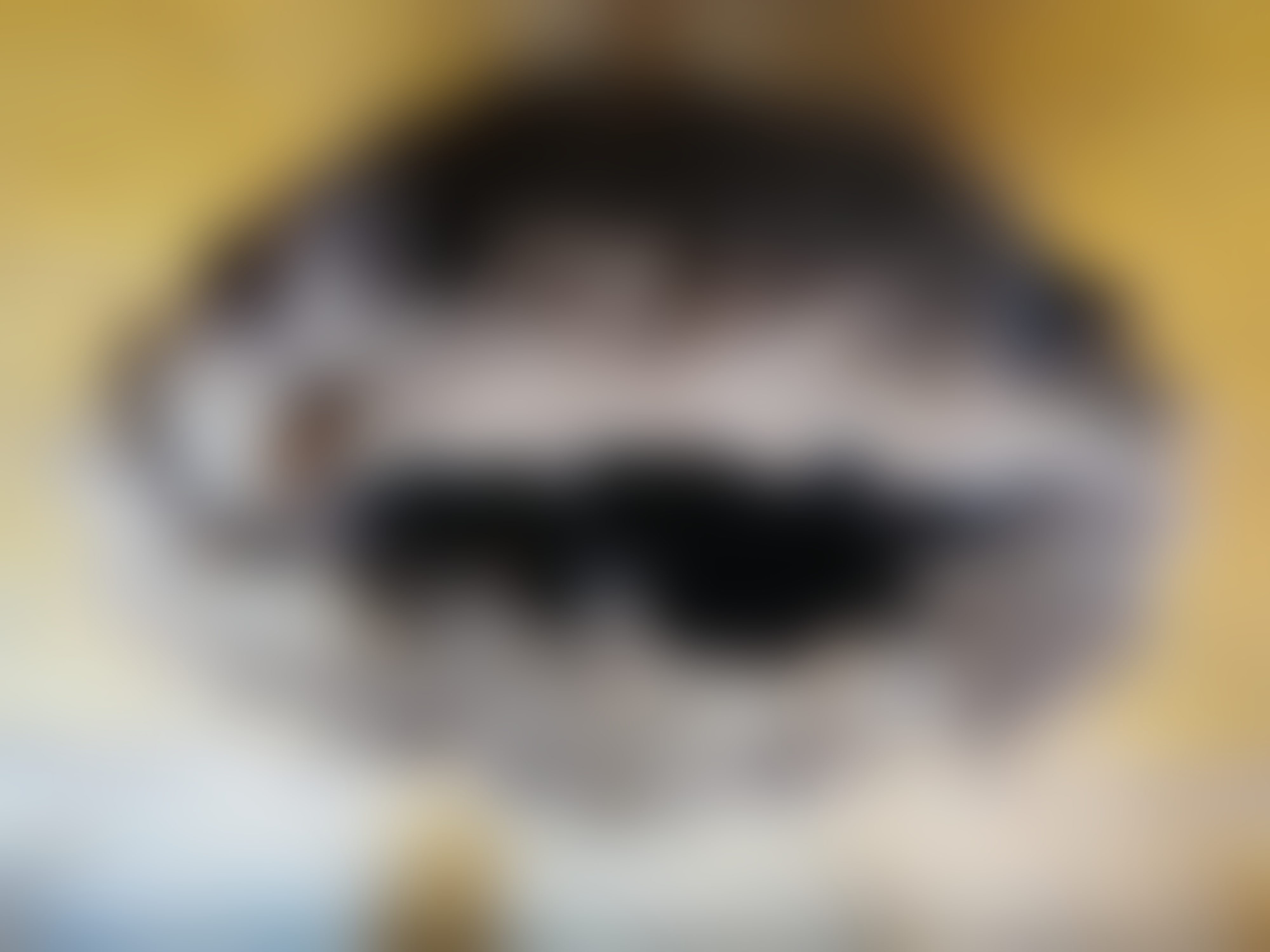 Eingereichtes Pelzstück – Beispiel 36.7 Bild 3