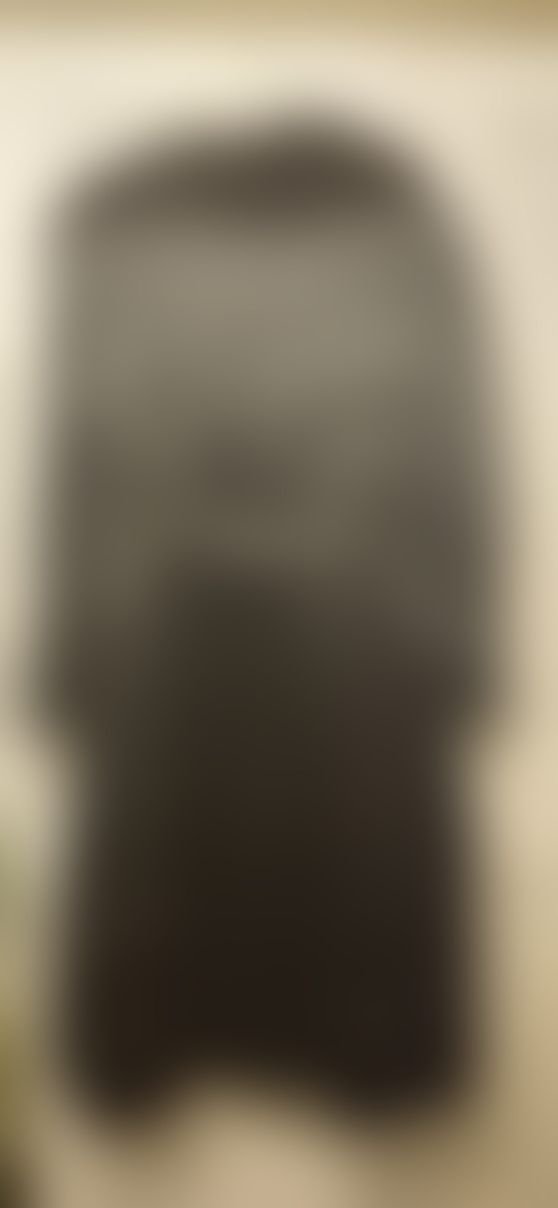 Eingereichtes Pelzstück – Beispiel 1 Bild 5