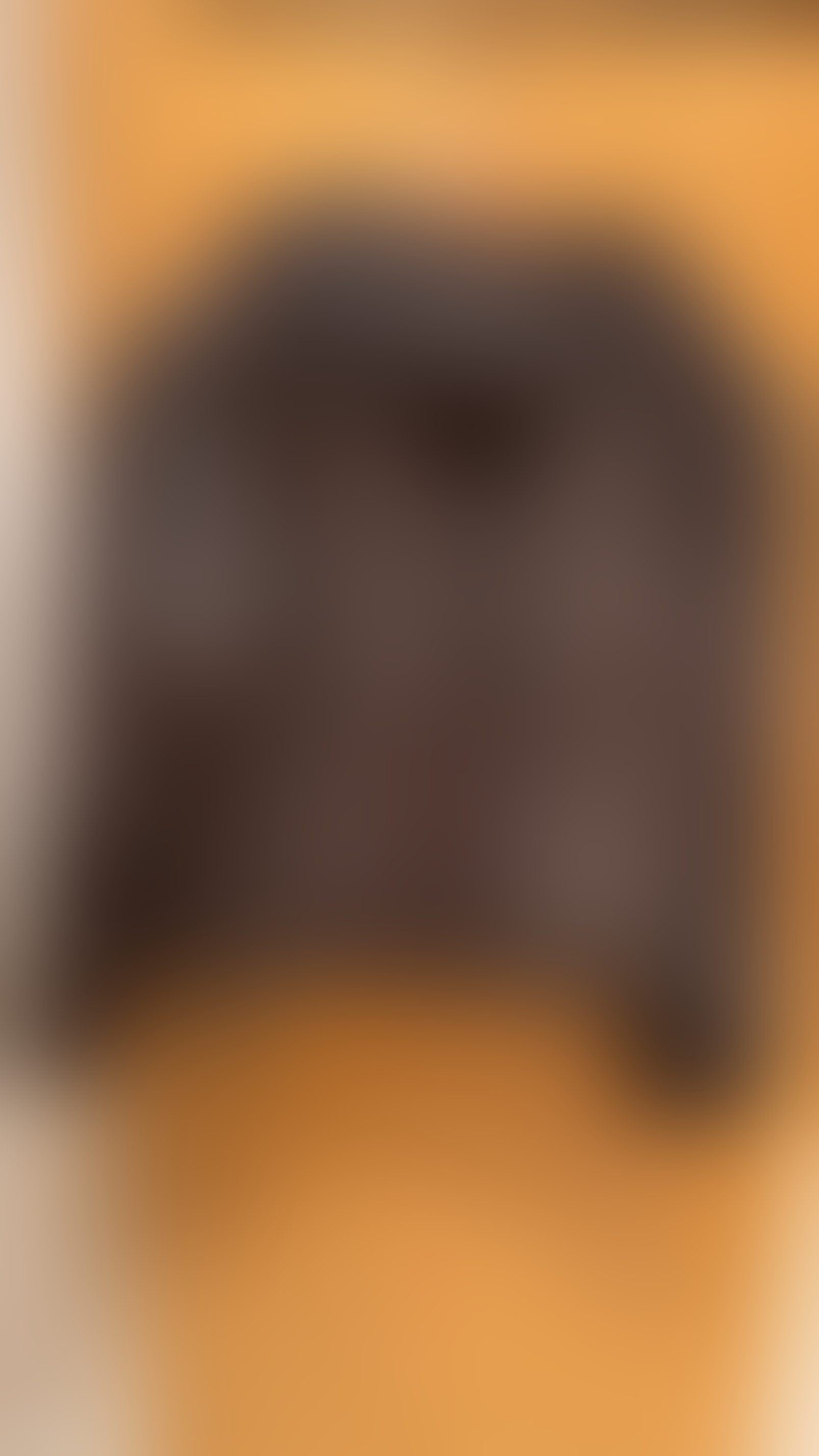 Eingereichtes Pelzstück – Beispiel 24.2 Bild 3