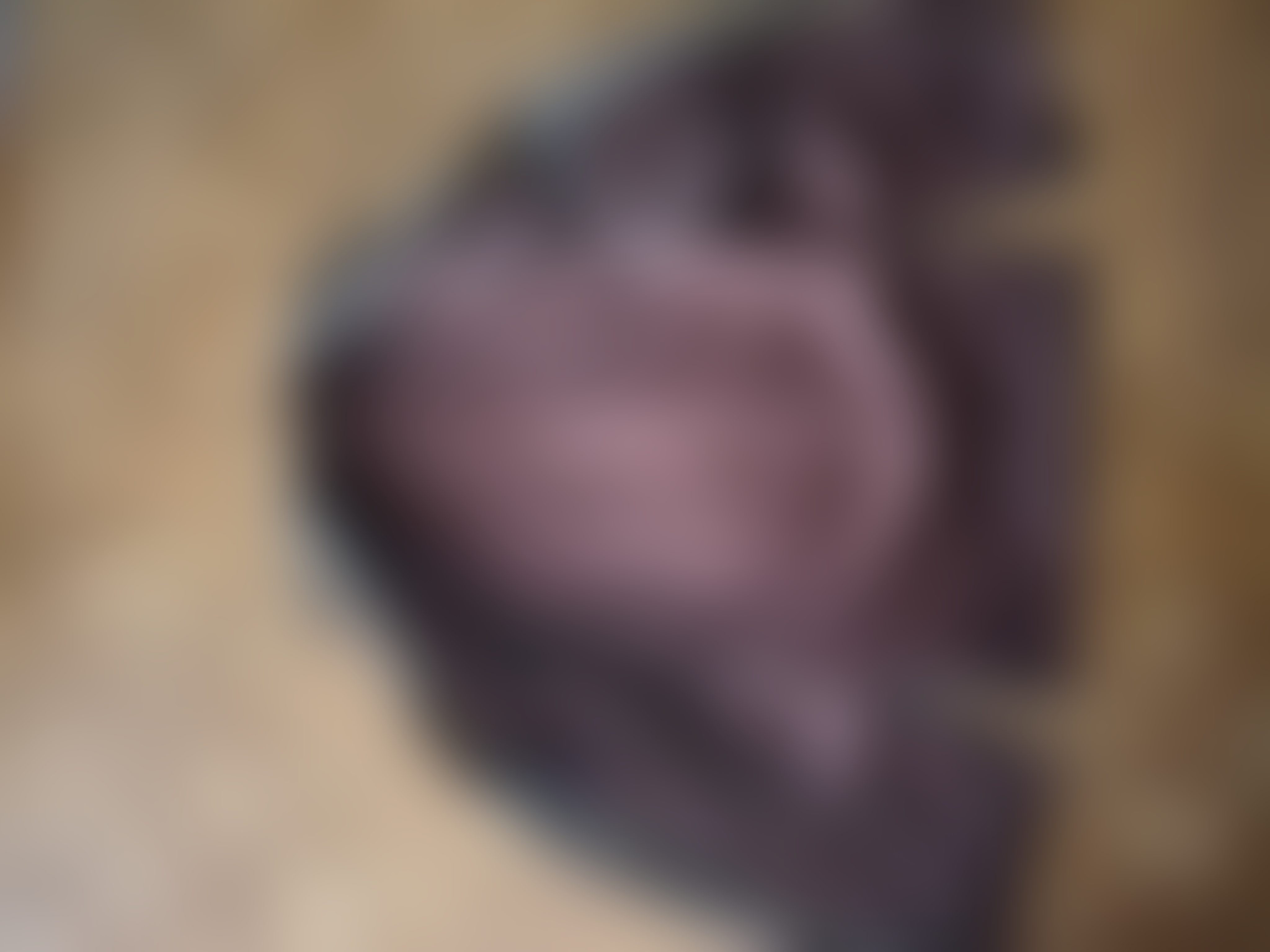 Eingereichtes Pelzstück – Beispiel 59 Bild 3