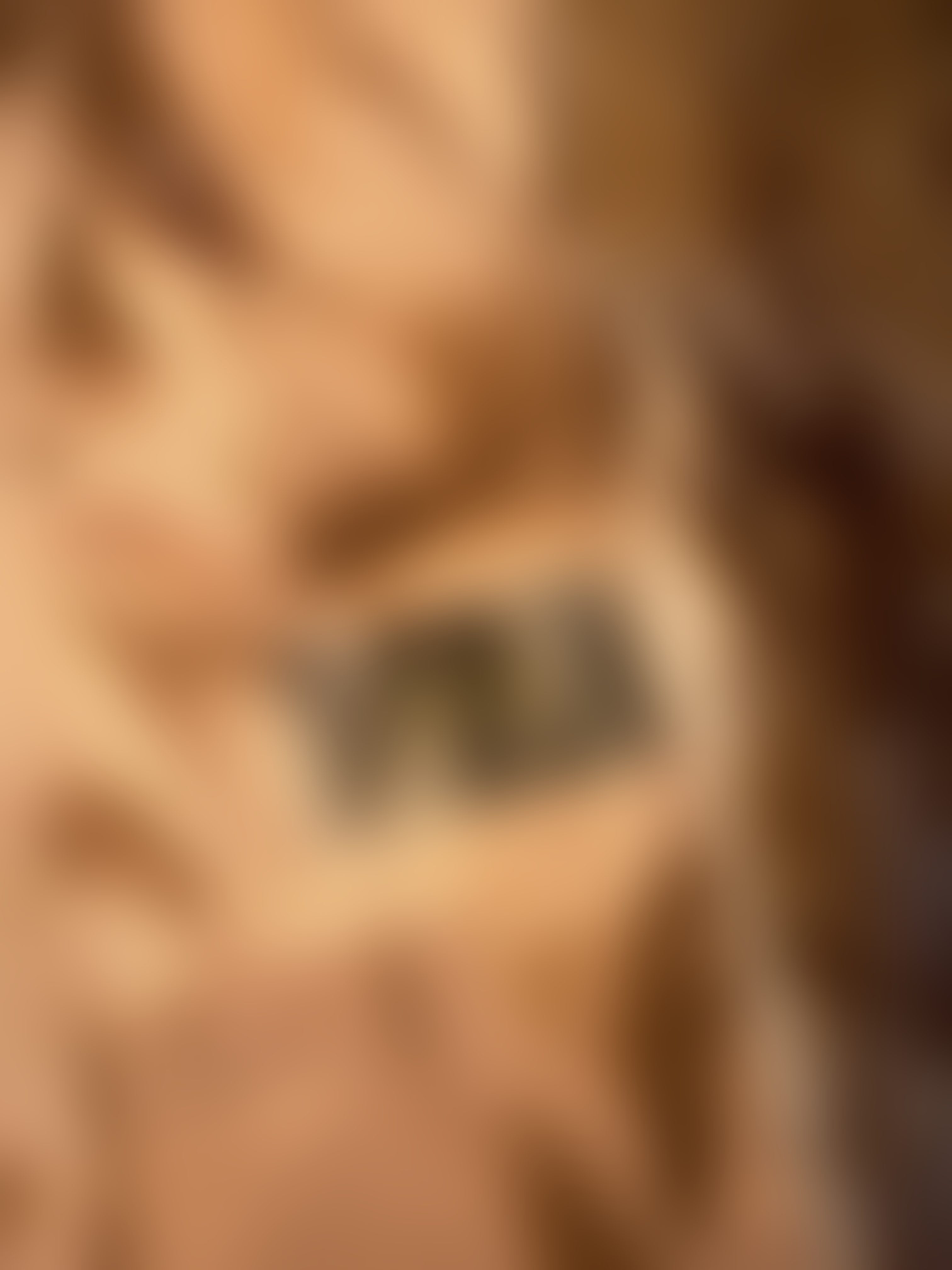 Eingereichtes Pelzstück – Beispiel 2 Bild 1