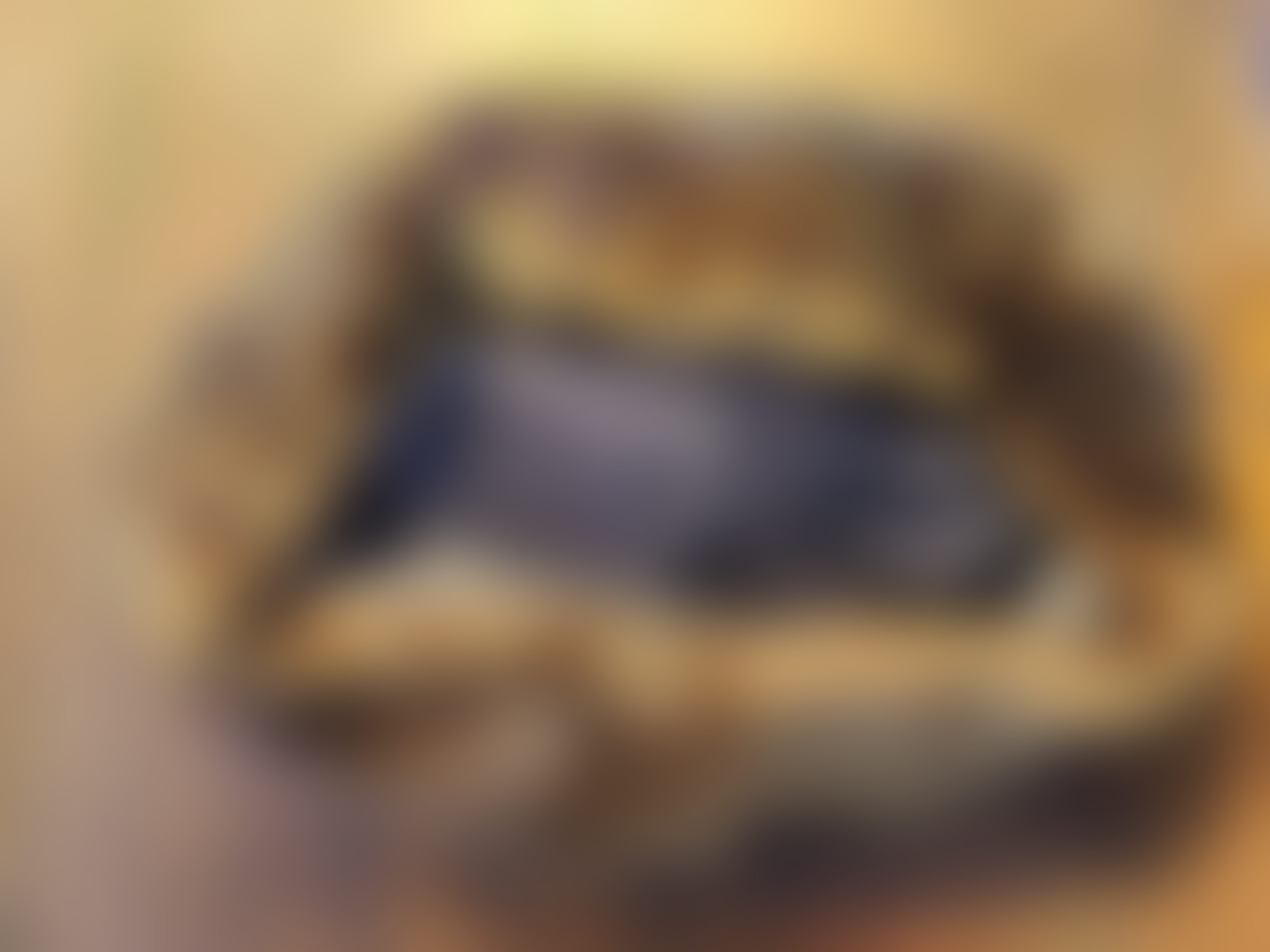 Eingereichtes Pelzstück – Beispiel 36.6 Bild 1