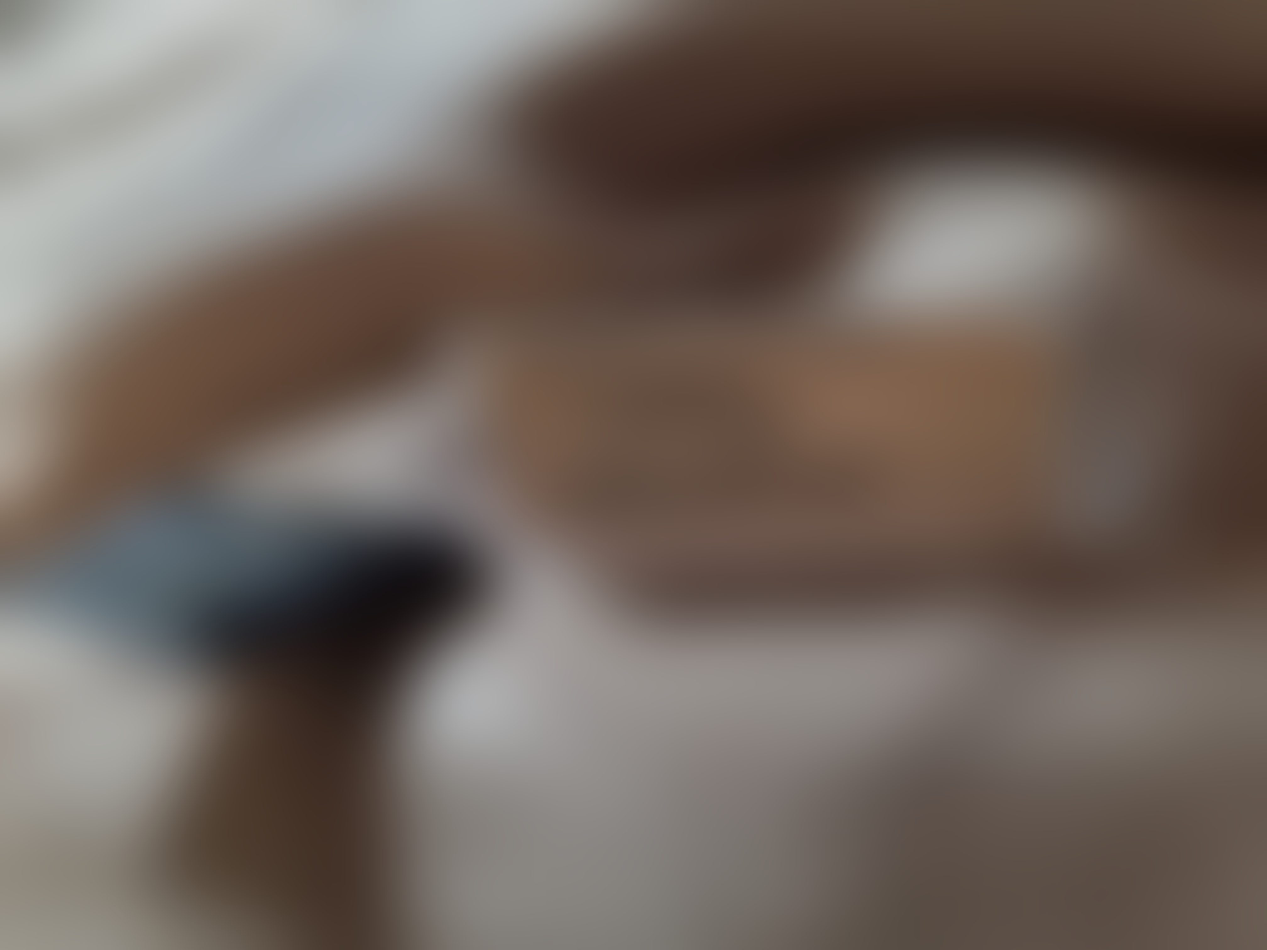 Eingereichtes Pelzstück – Beispiel 41.2 Bild 4