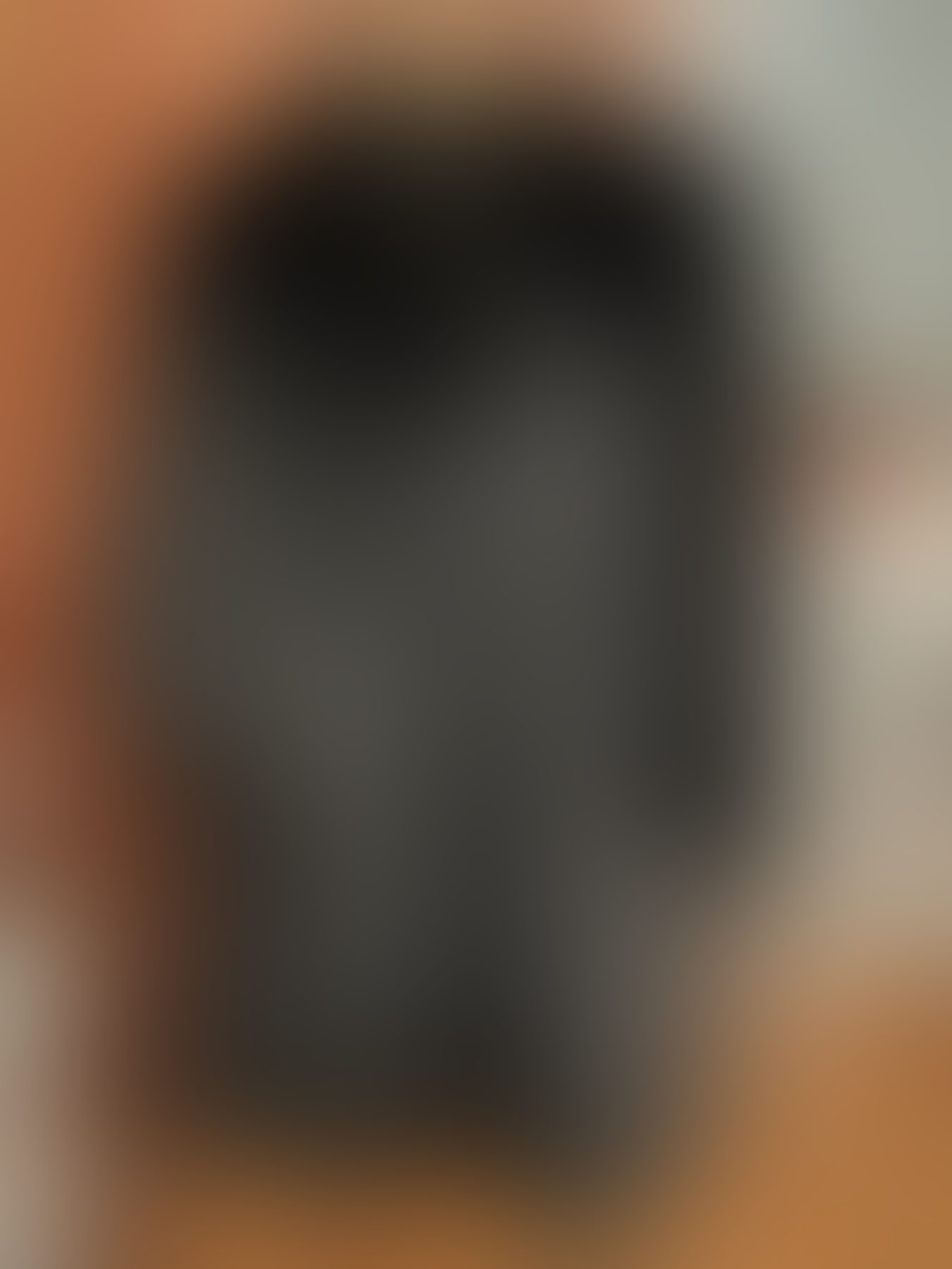 Eingereichtes Pelzstück – Beispiel 67 Bild 3