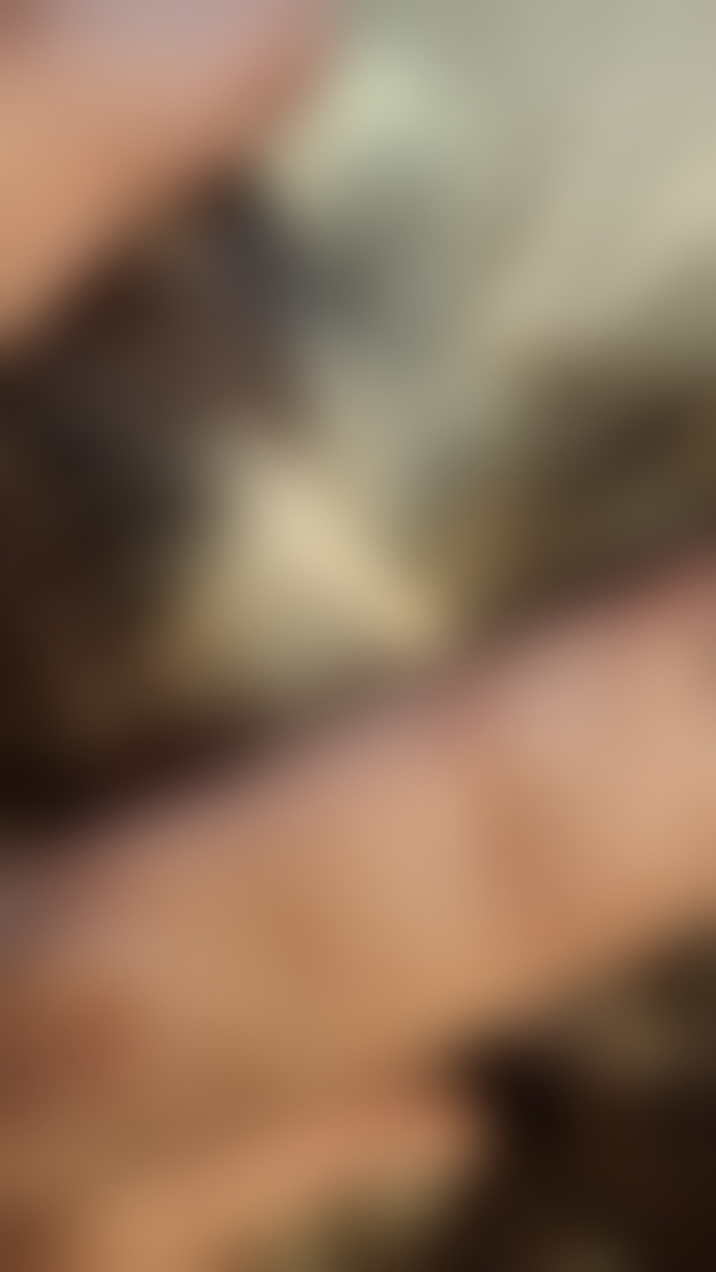 Eingereichtes Pelzstück – Beispiel 249 Bild 6