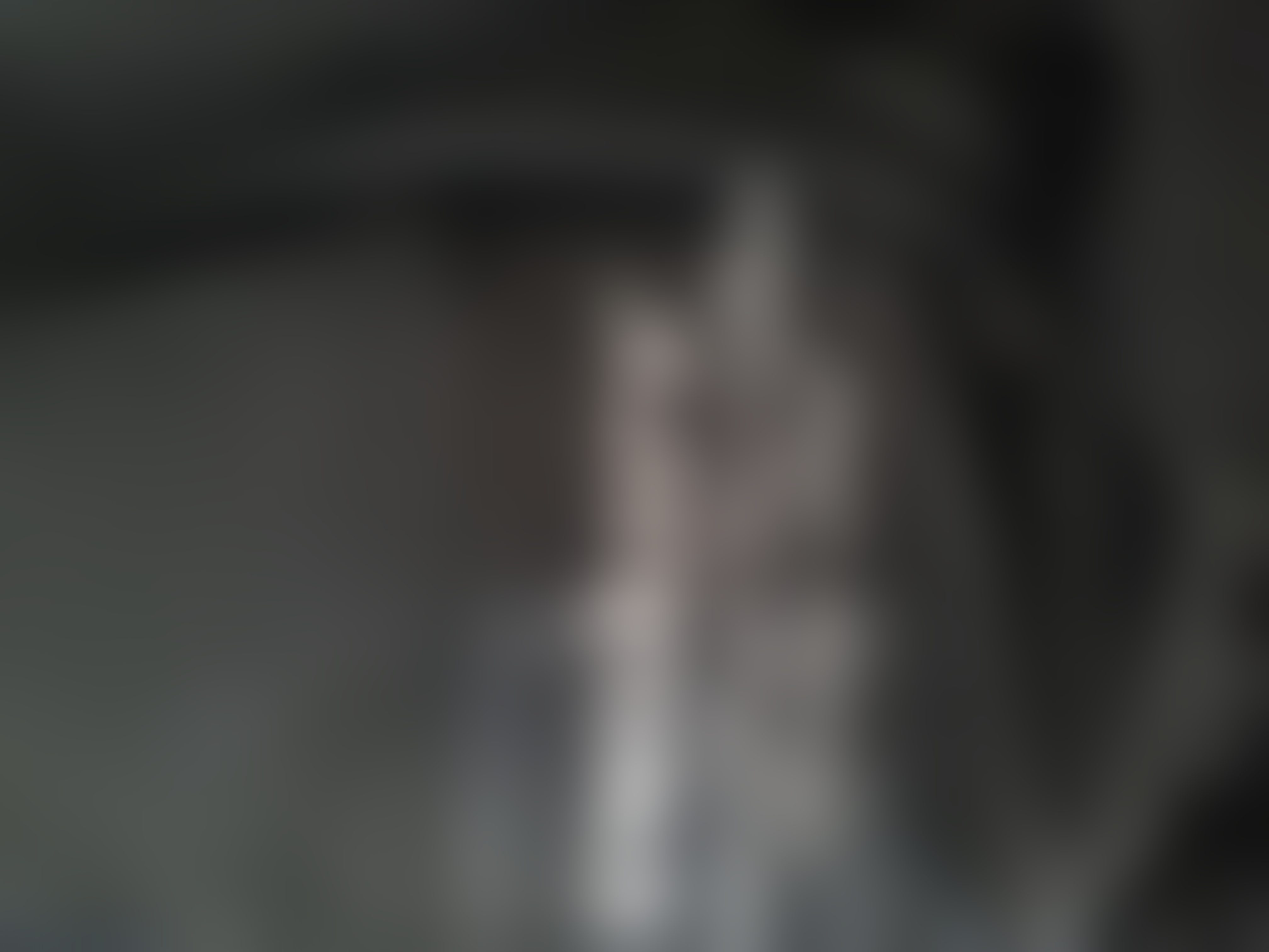 Eingereichtes Pelzstück – Beispiel 41.3 Bild 2