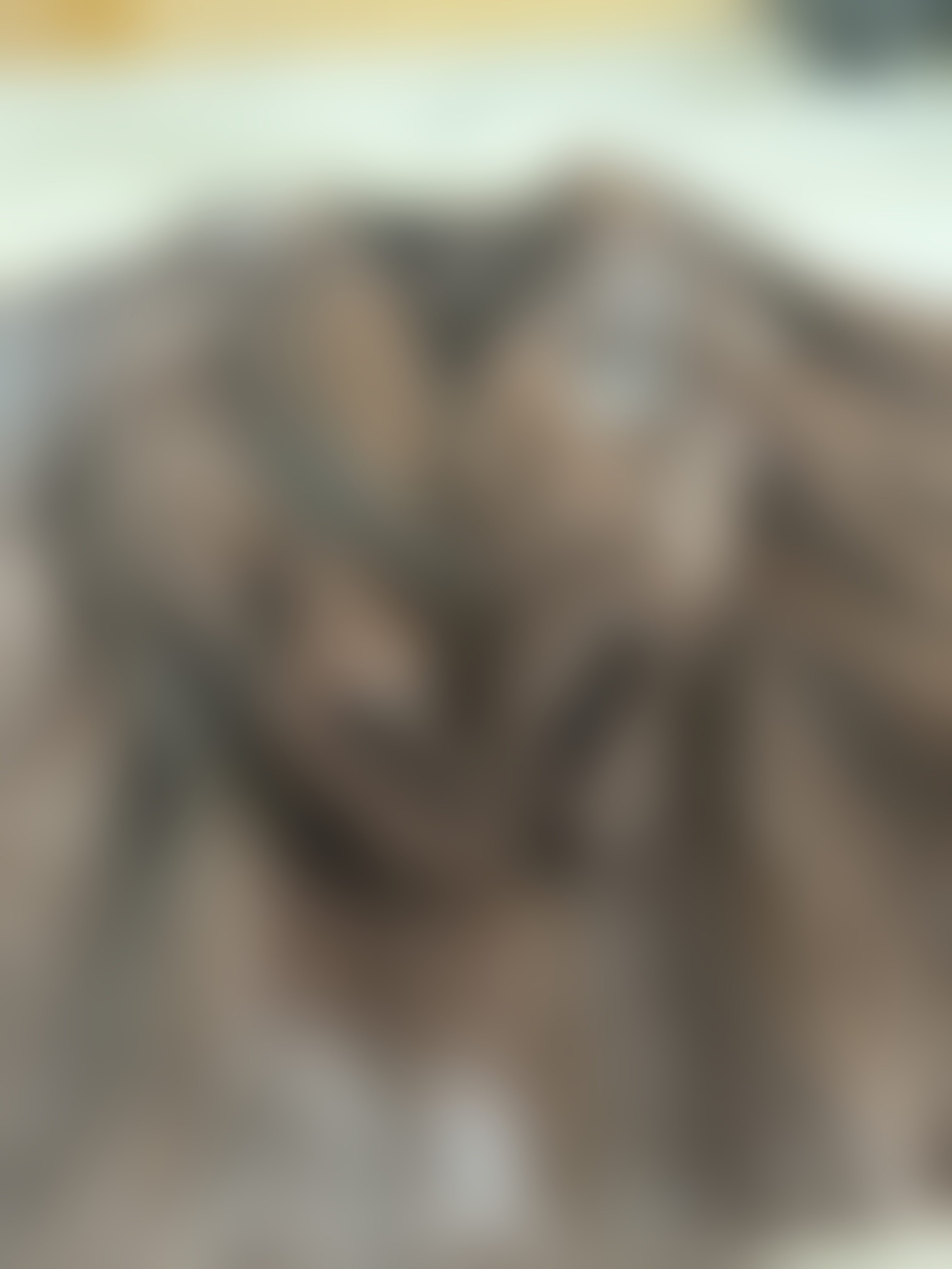 Eingereichtes Pelzstück – Beispiel 30 Bild 8