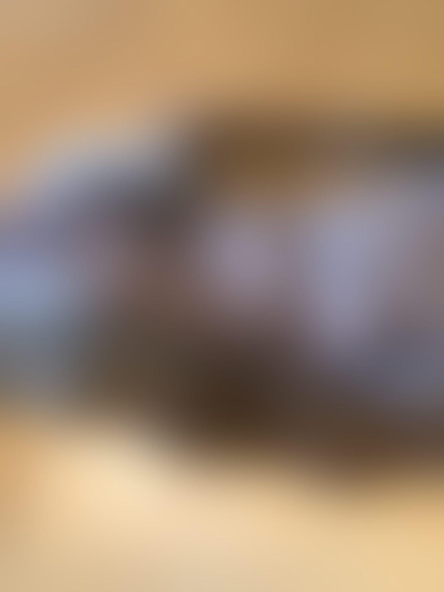 Eingereichtes Pelzstück – Beispiel 37 Bild 5