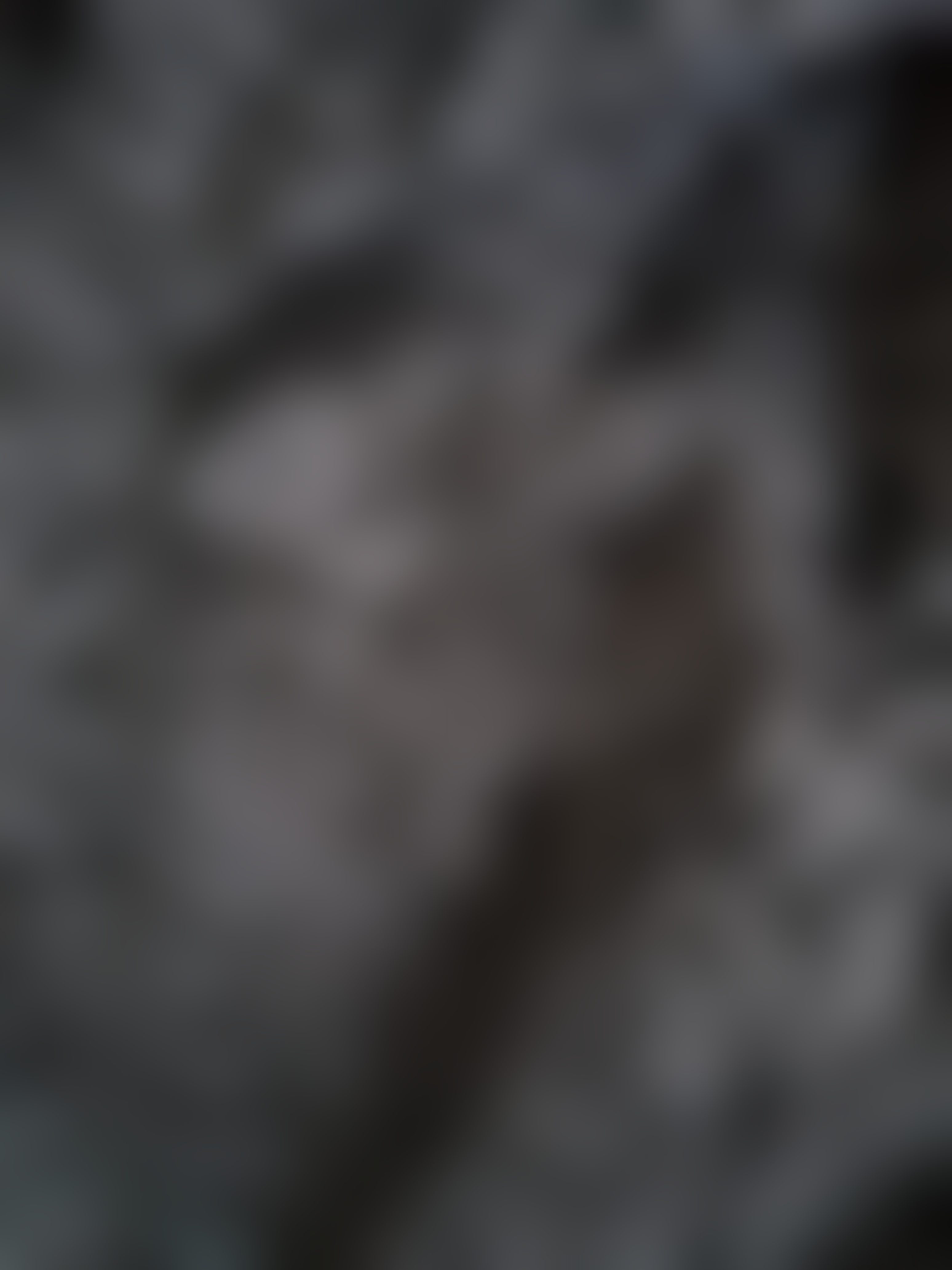 Eingereichtes Pelzstück – Beispiel 42.2 Bild 2