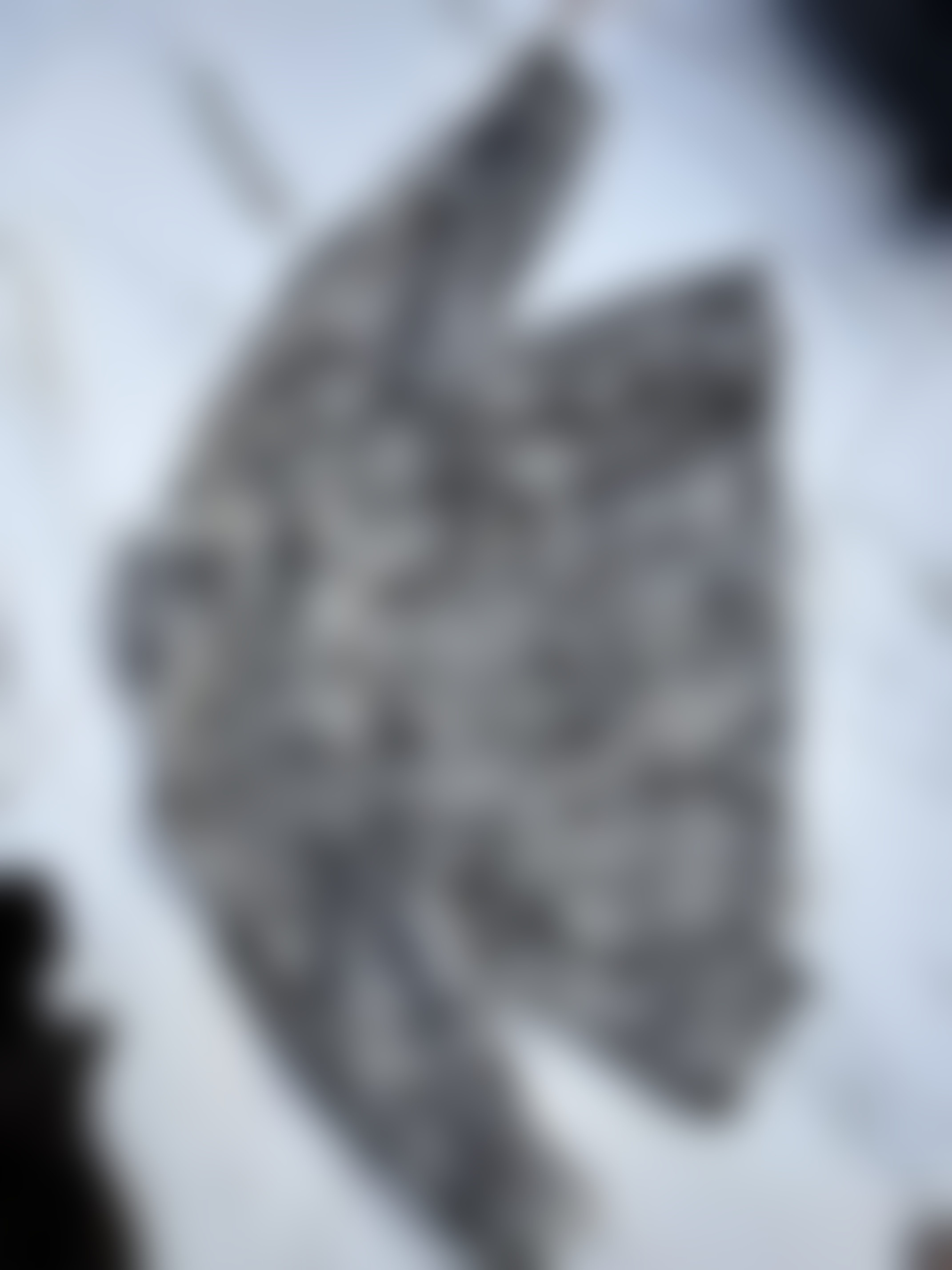 Eingereichtes Pelzstück – Beispiel 199.2 Bild 2