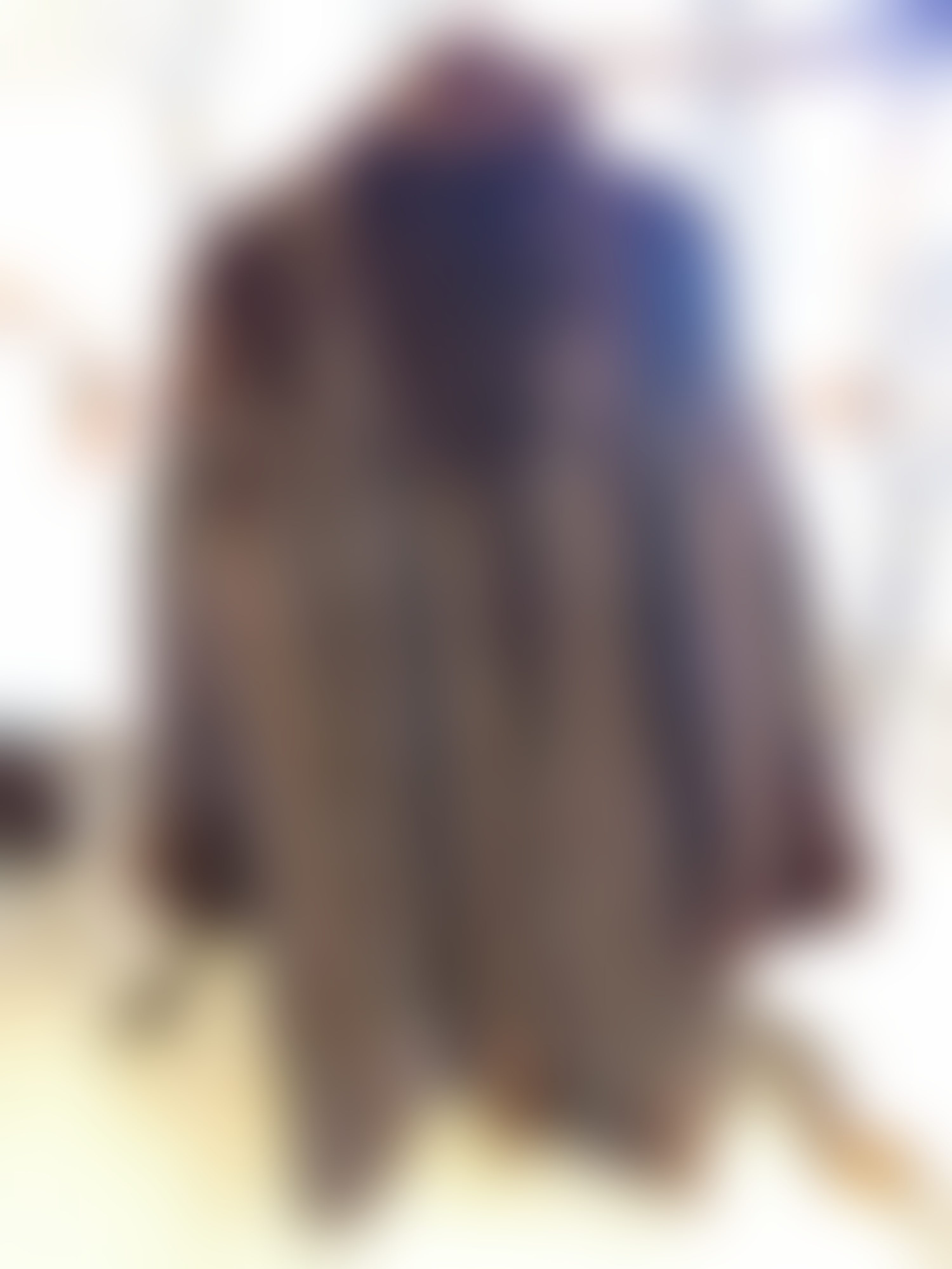 Eingereichtes Pelzstück – Beispiel 36.2 Bild 1