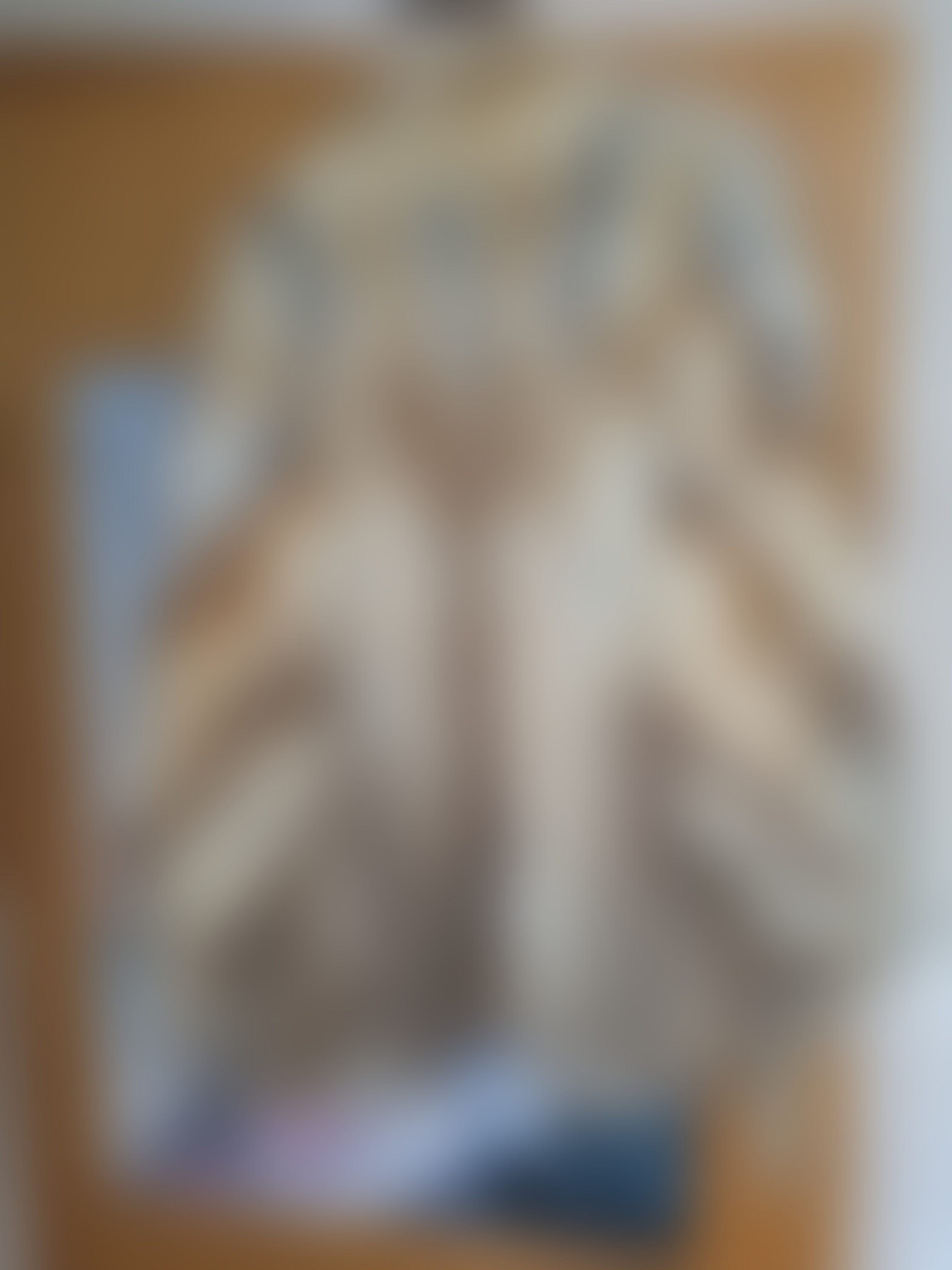 Eingereichtes Pelzstück – Beispiel 41.2 Bild 2