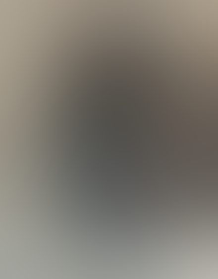 Eingereichtes Pelzstück – Beispiel 195.3 Bild 1
