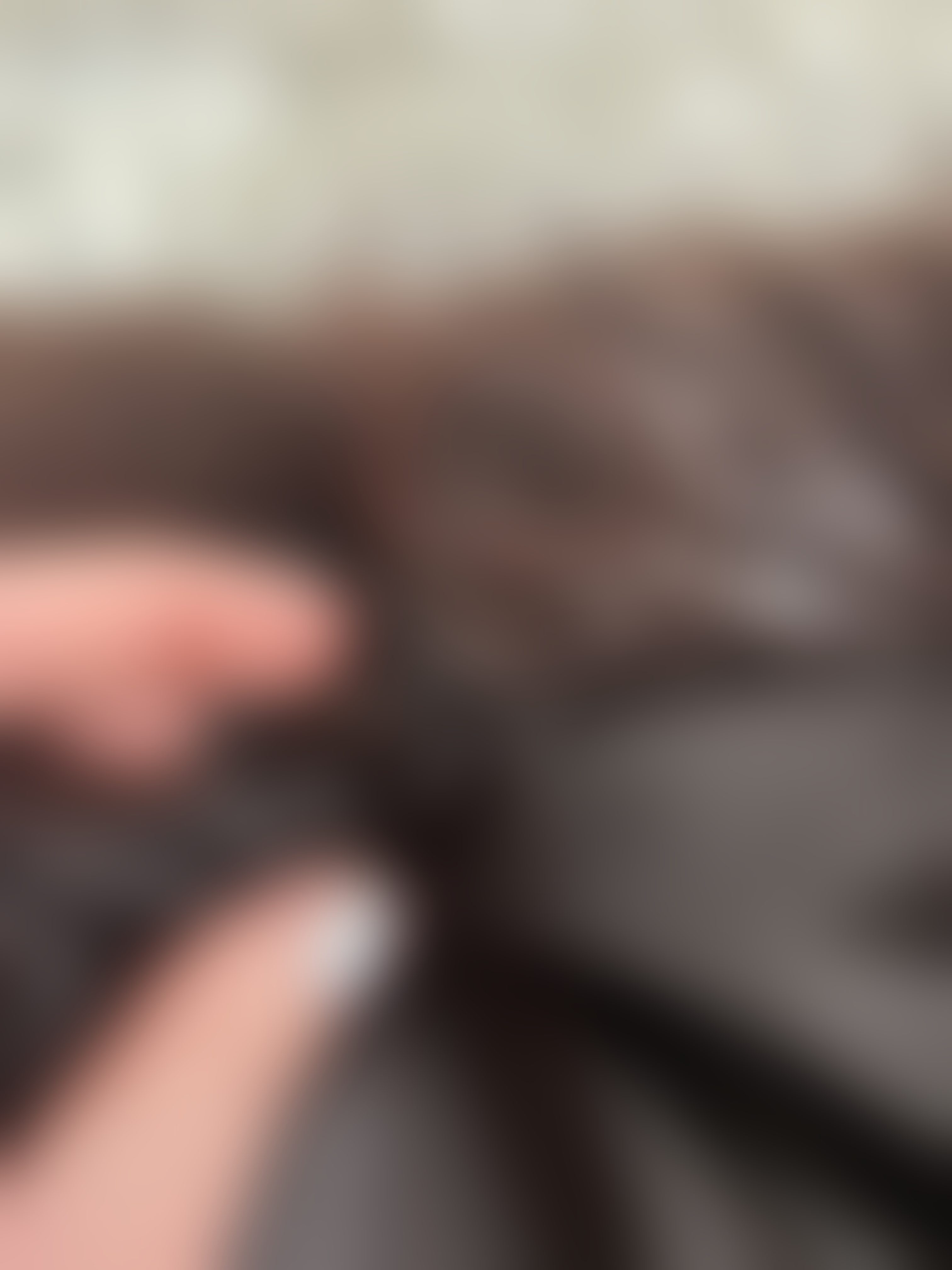 Eingereichtes Pelzstück – Beispiel 30 Bild 6