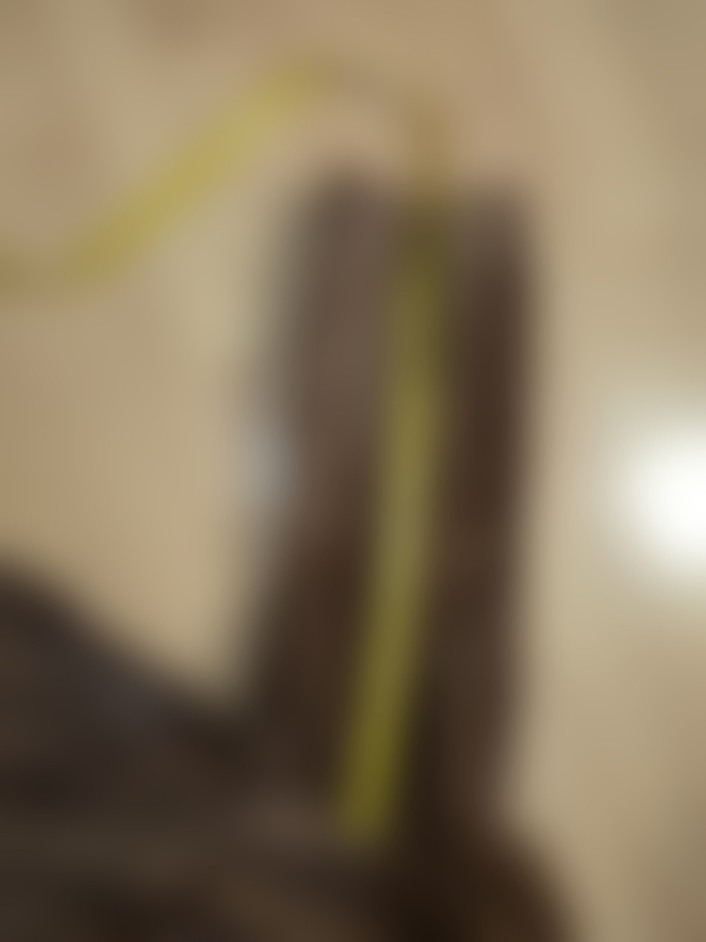 Eingereichtes Pelzstück – Beispiel 1 Bild 1