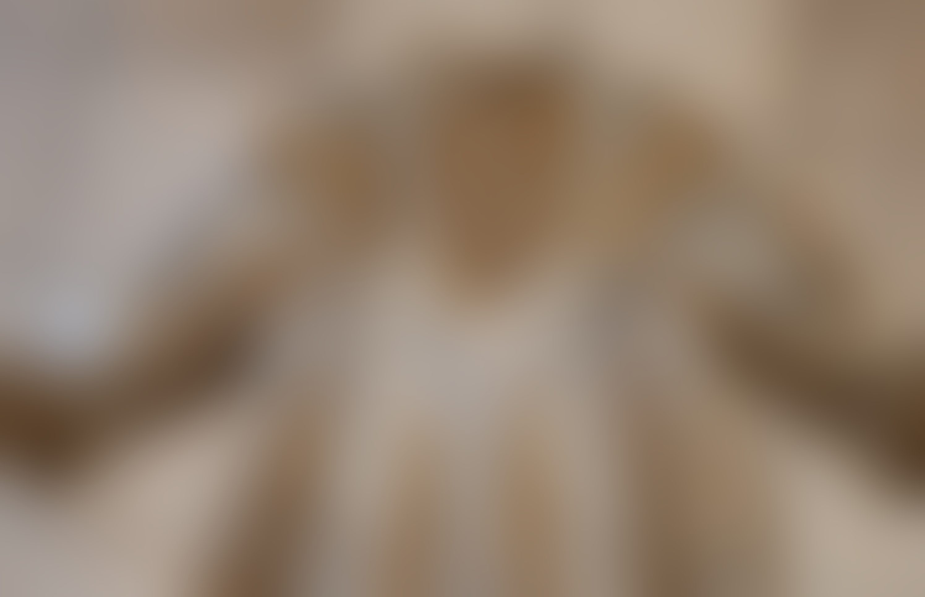 Eingereichtes Pelzstück – Beispiel 100 Bild 2