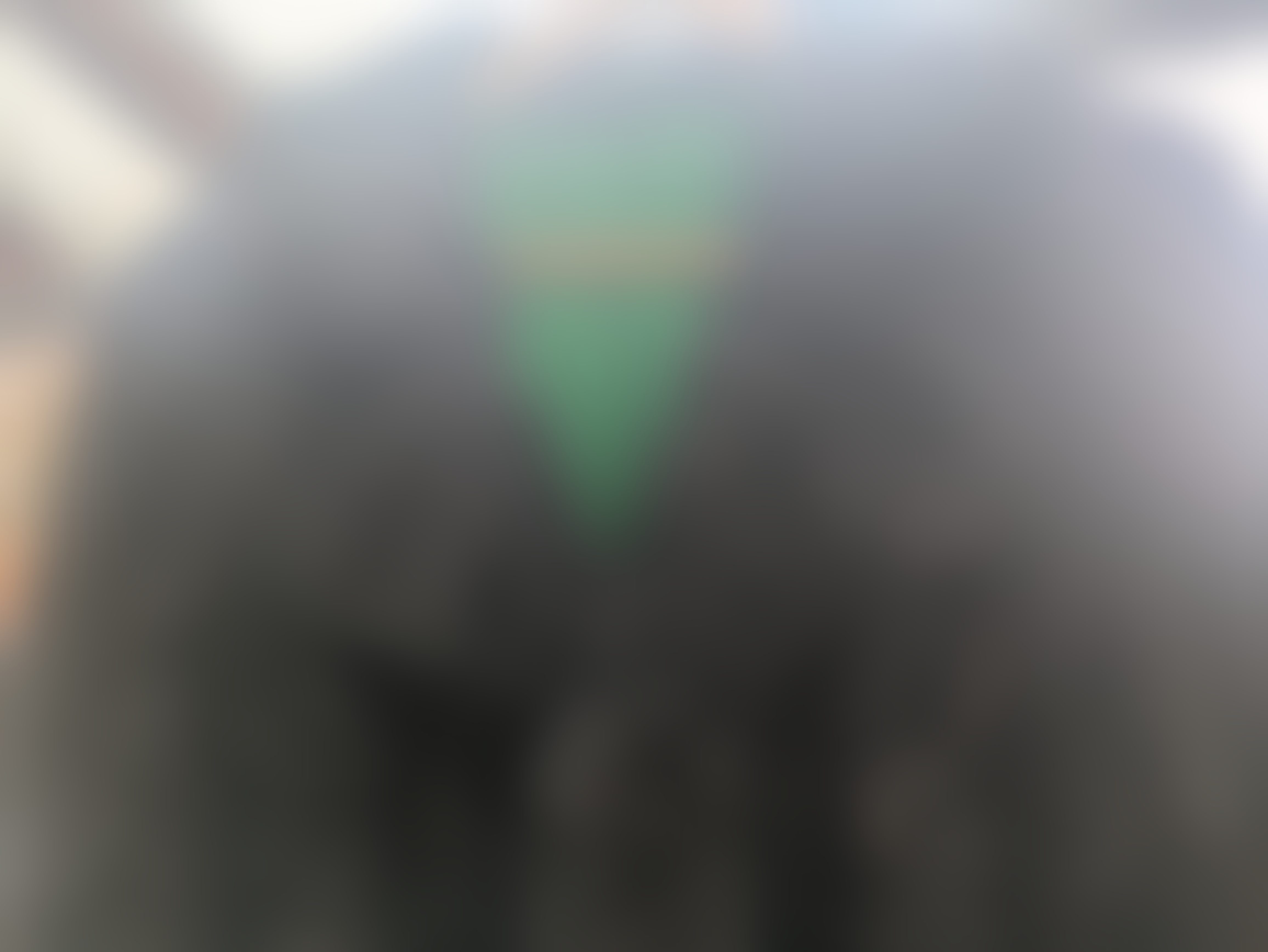 Eingereichtes Pelzstück – Beispiel 34 Bild 1