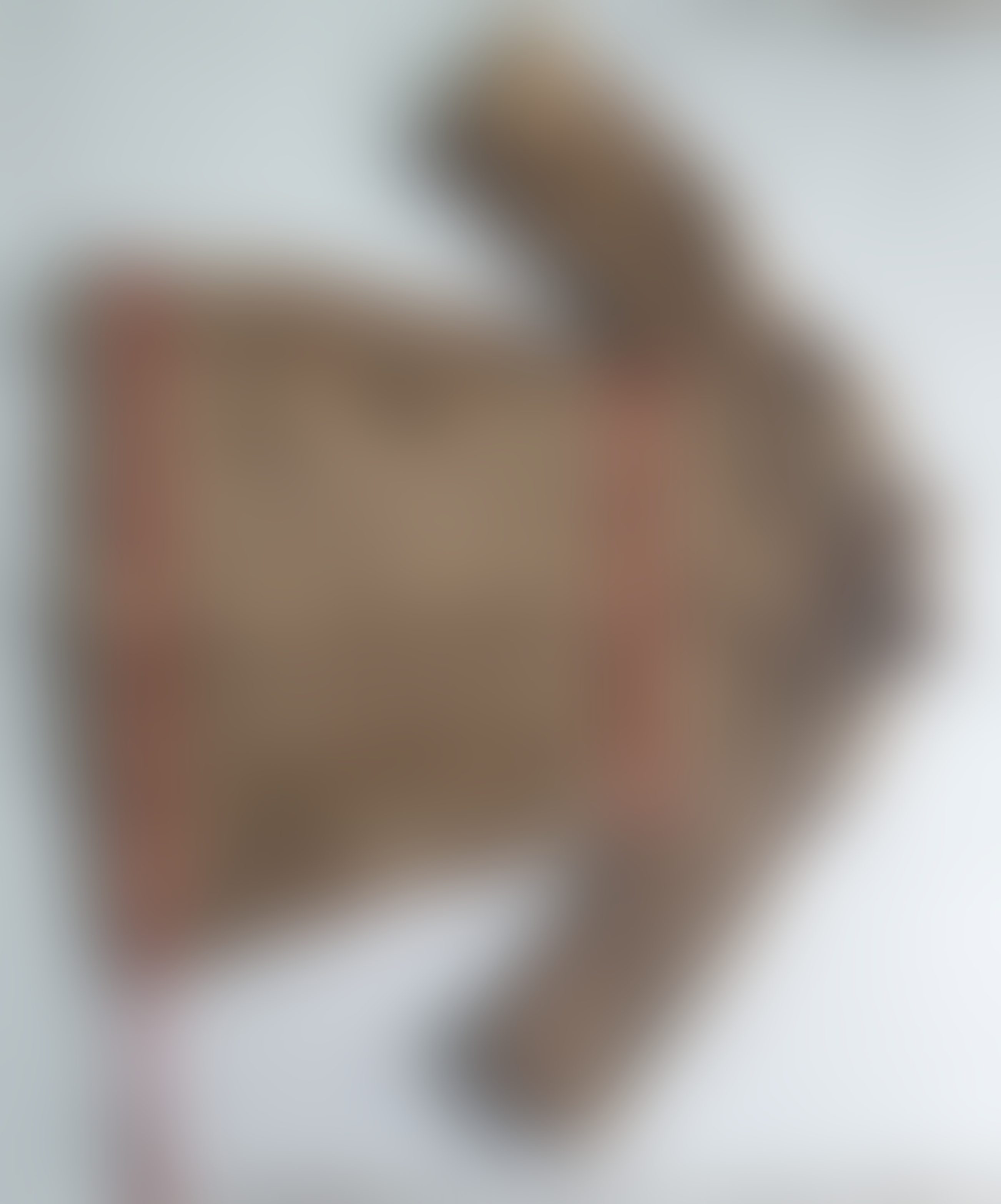 Eingereichtes Pelzstück – Beispiel 118 Bild 10