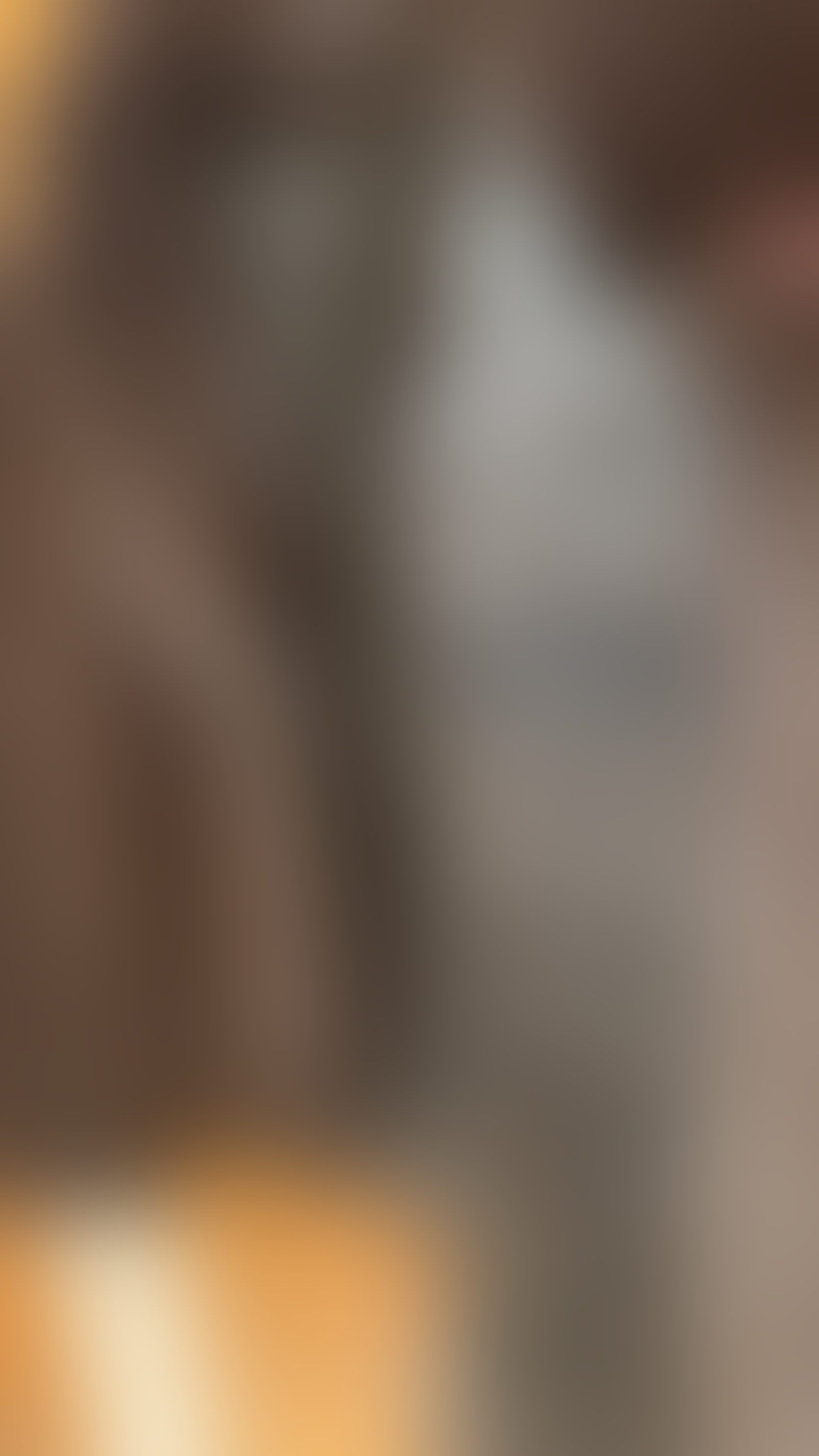 Eingereichtes Pelzstück – Beispiel 24.2 Bild 2