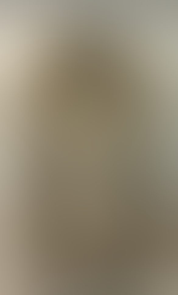 Eingereichtes Pelzstück – Beispiel 29 Bild 3