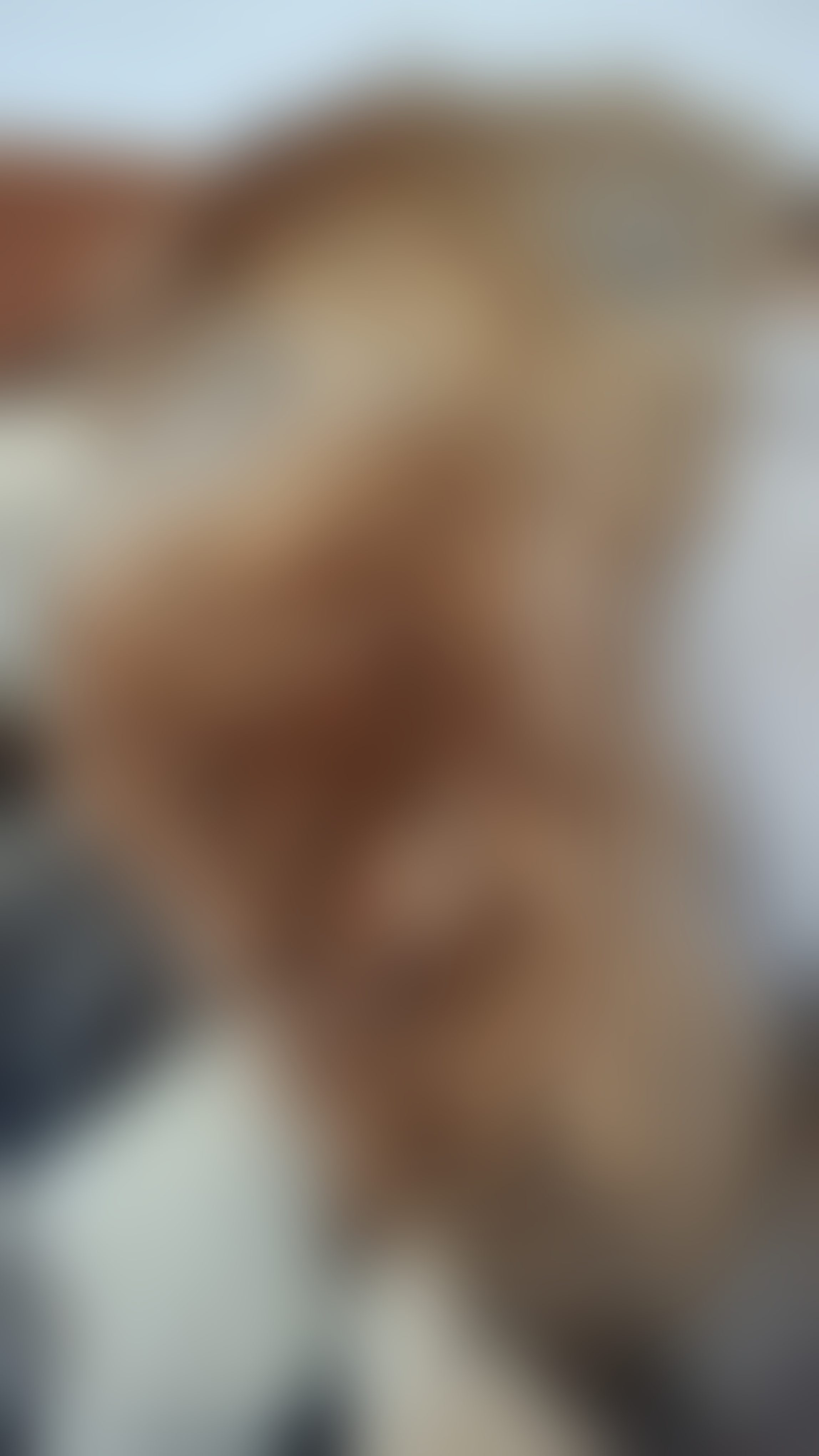 Eingereichtes Pelzstück – Beispiel 249 Bild 10