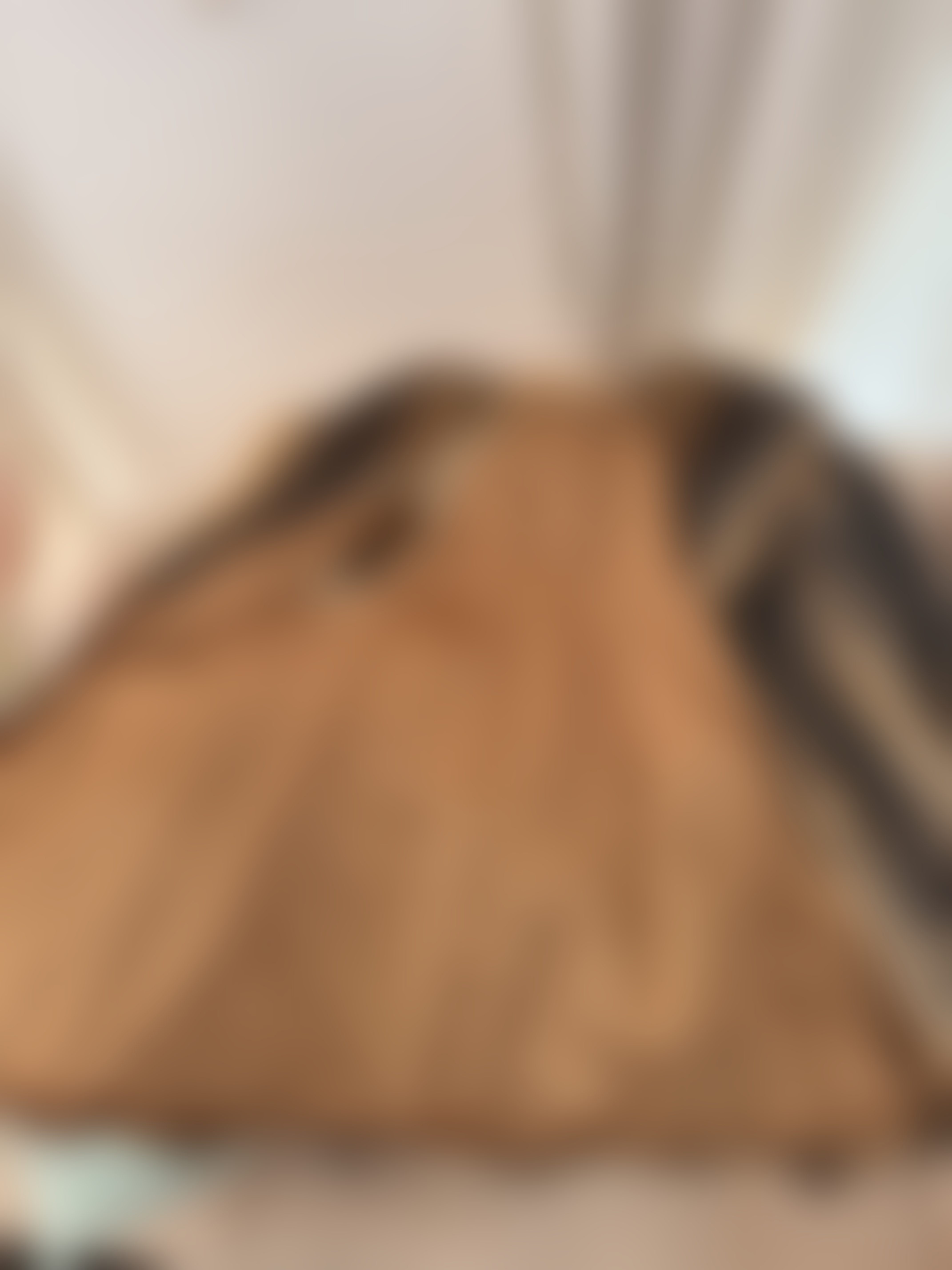 Eingereichtes Pelzstück – Beispiel 258 Bild 2