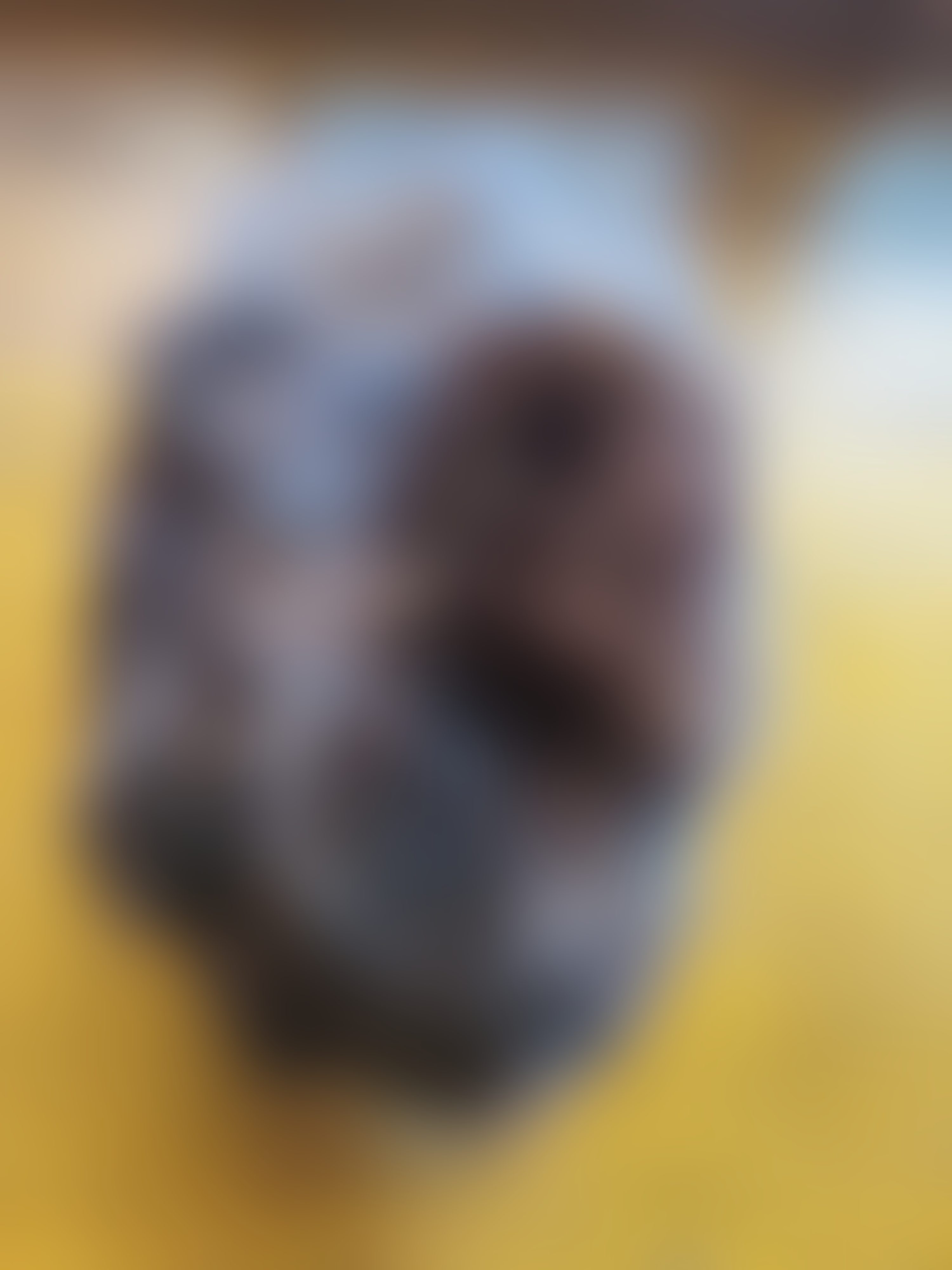 Eingereichtes Pelzstück – Beispiel 36.7 Bild 2