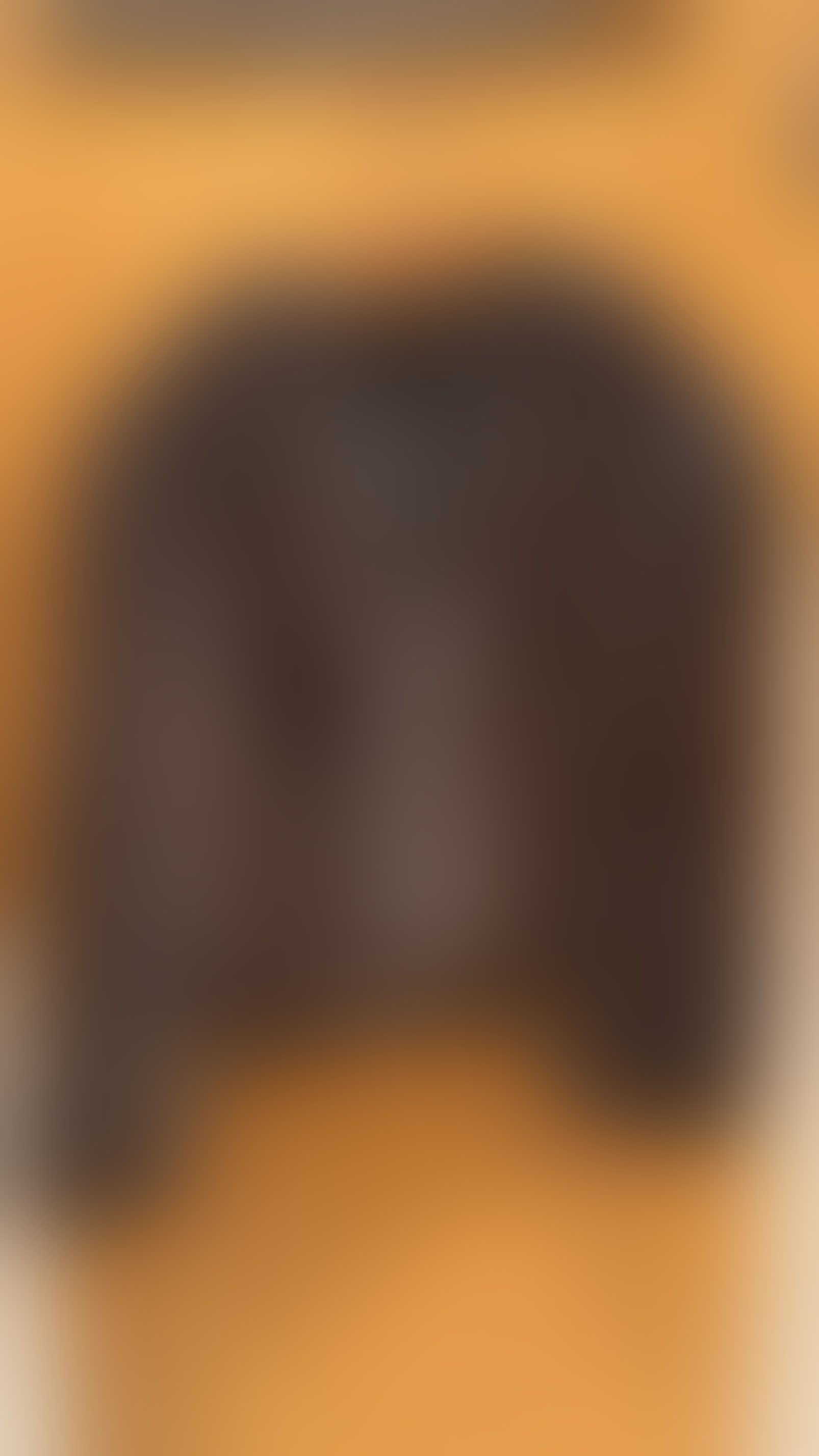 Eingereichtes Pelzstück – Beispiel 24.2 Bild 1