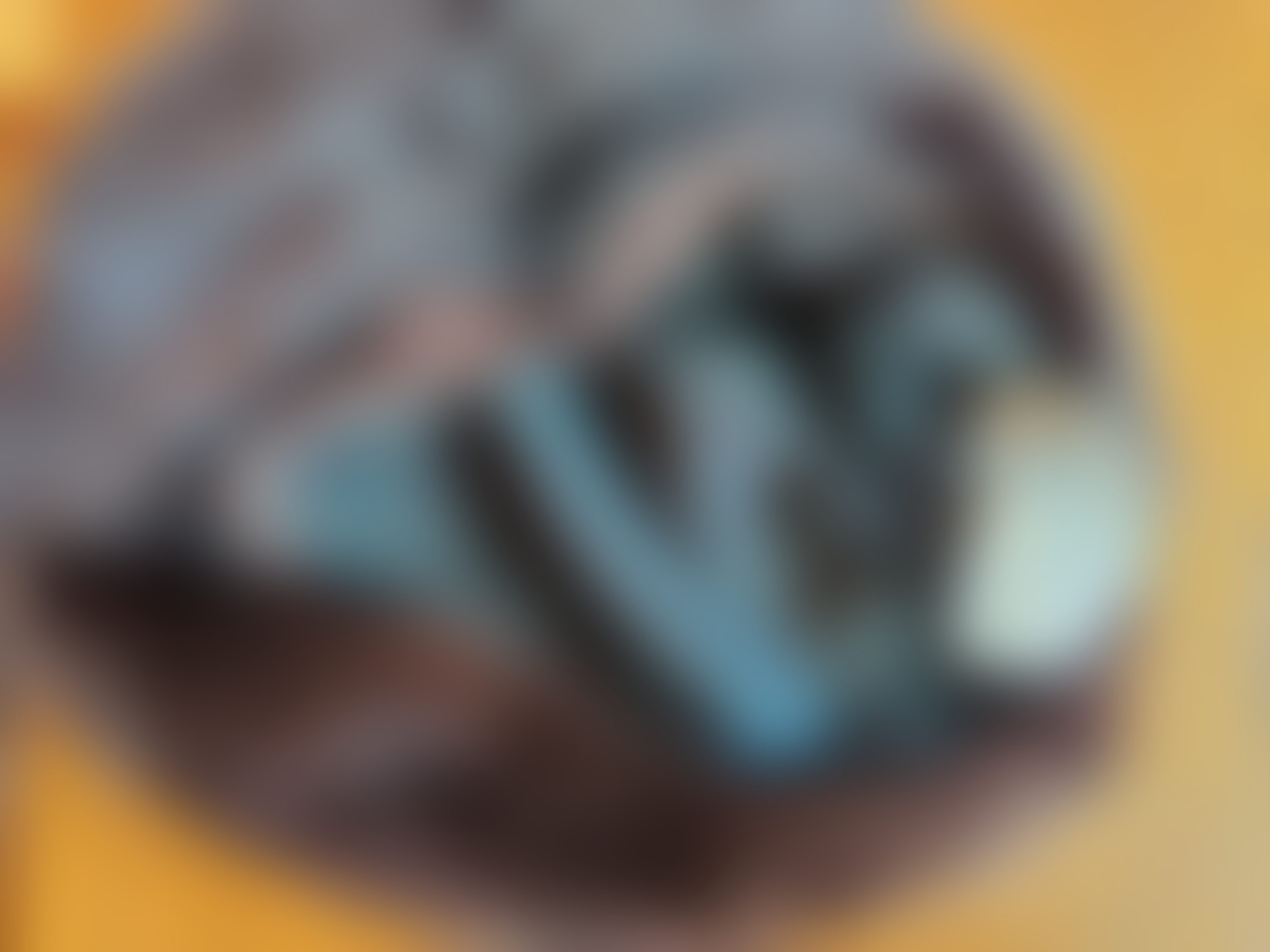 Eingereichtes Pelzstück – Beispiel 36.5 Bild 2