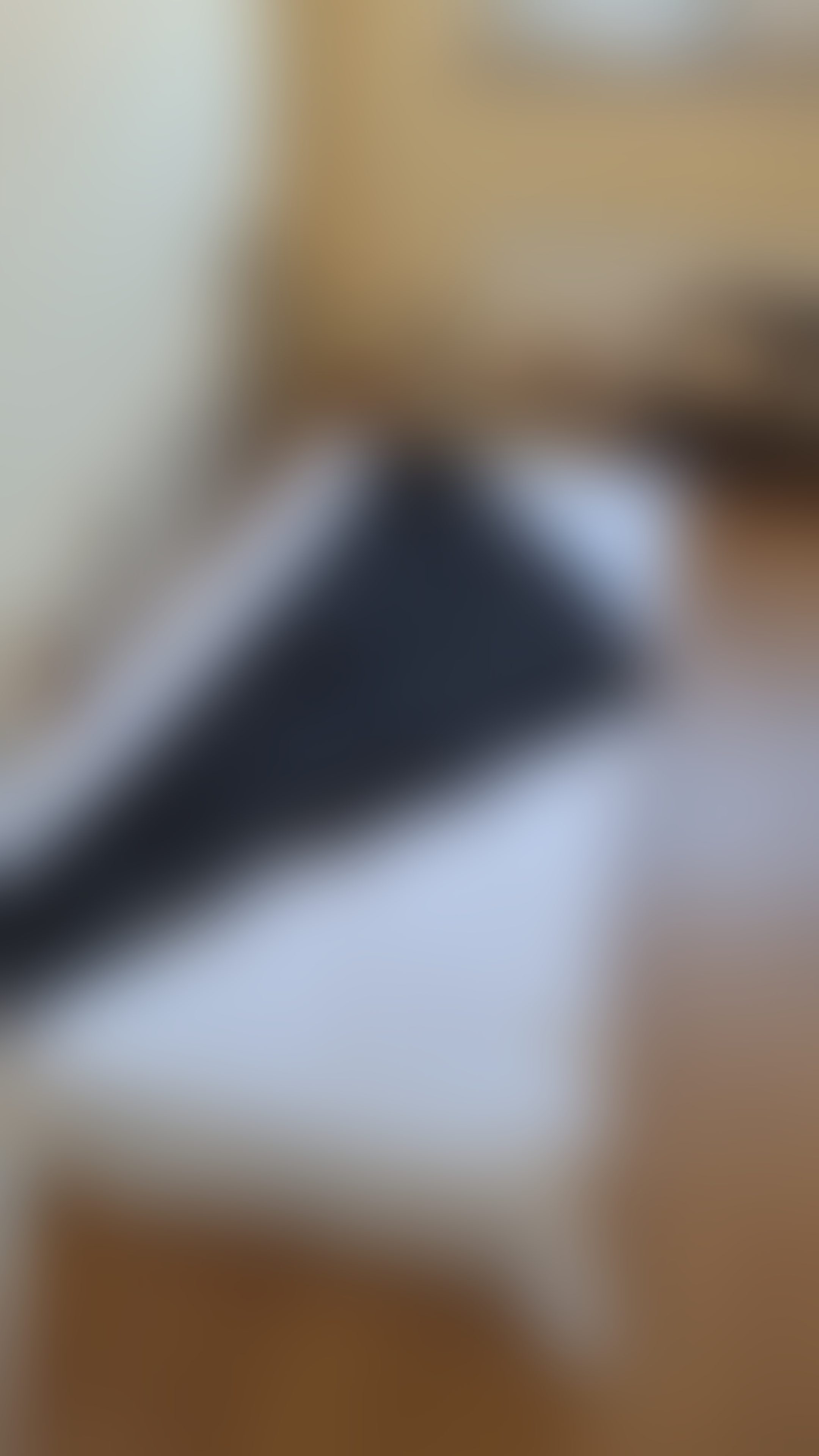 Eingereichtes Pelzstück – Beispiel 42.1 Bild 1