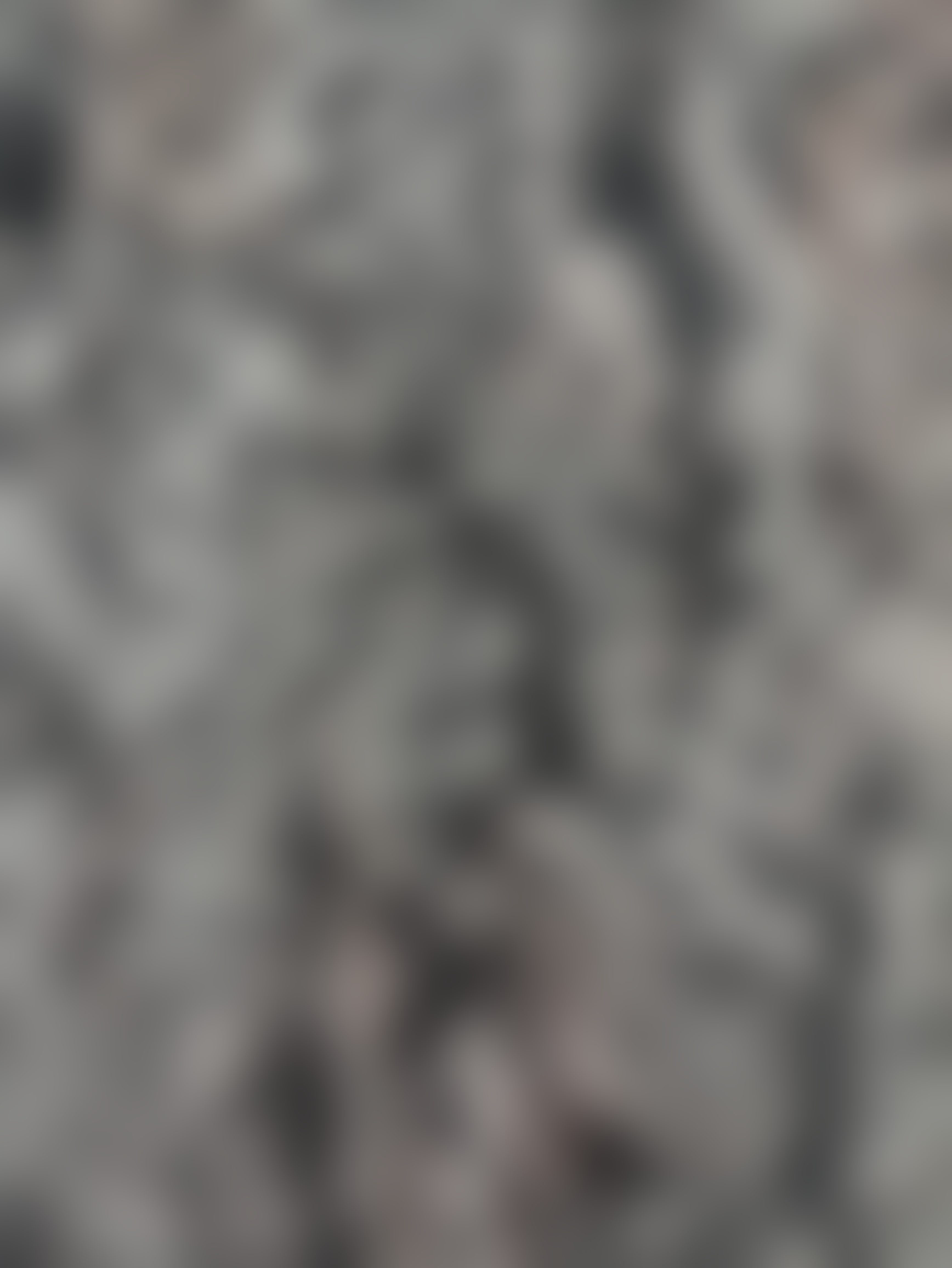 Eingereichtes Pelzstück – Beispiel 34 Bild 5