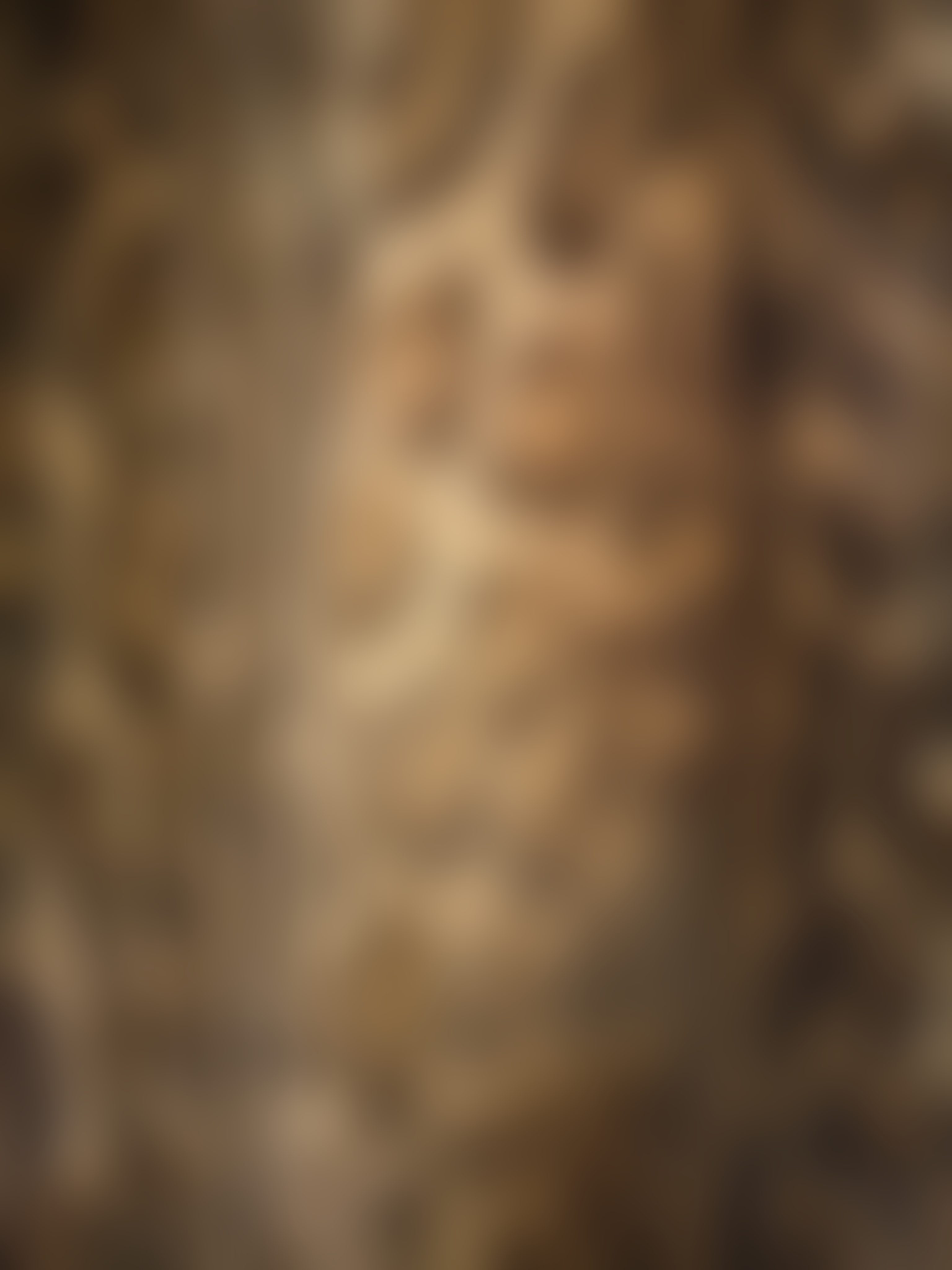 Eingereichtes Pelzstück – Beispiel 59 Bild 1