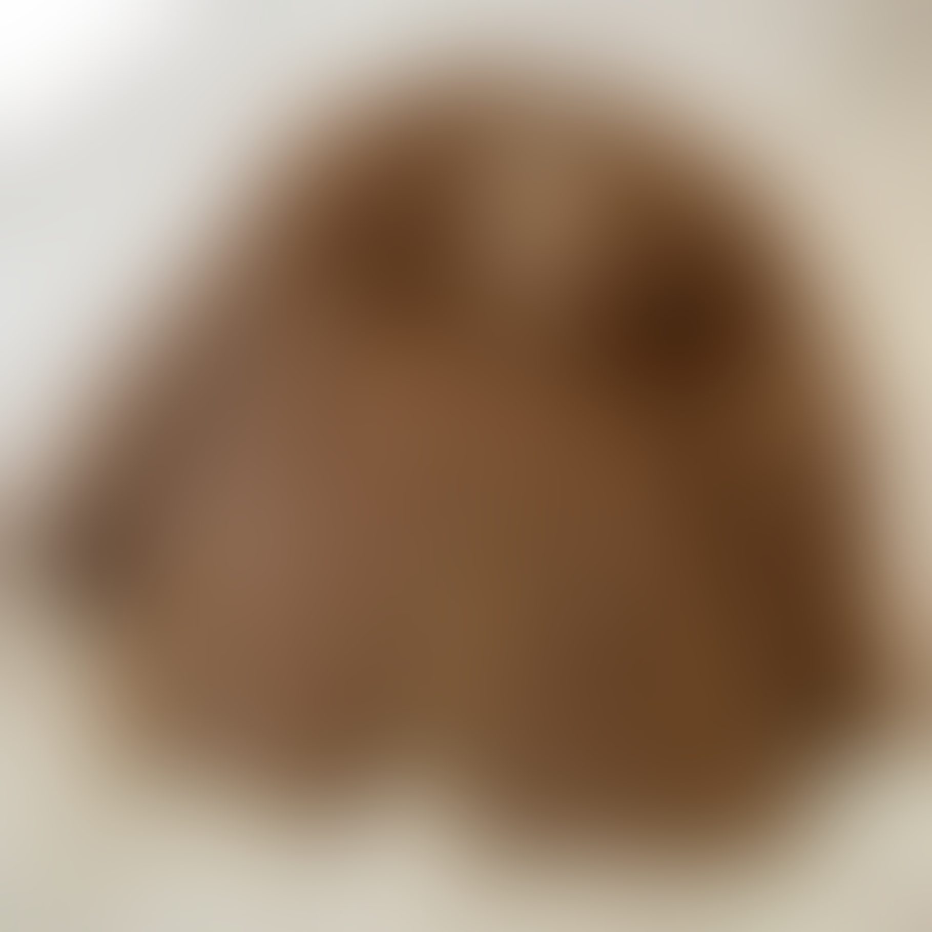 Eingereichtes Pelzstück – Beispiel 58 Bild 5