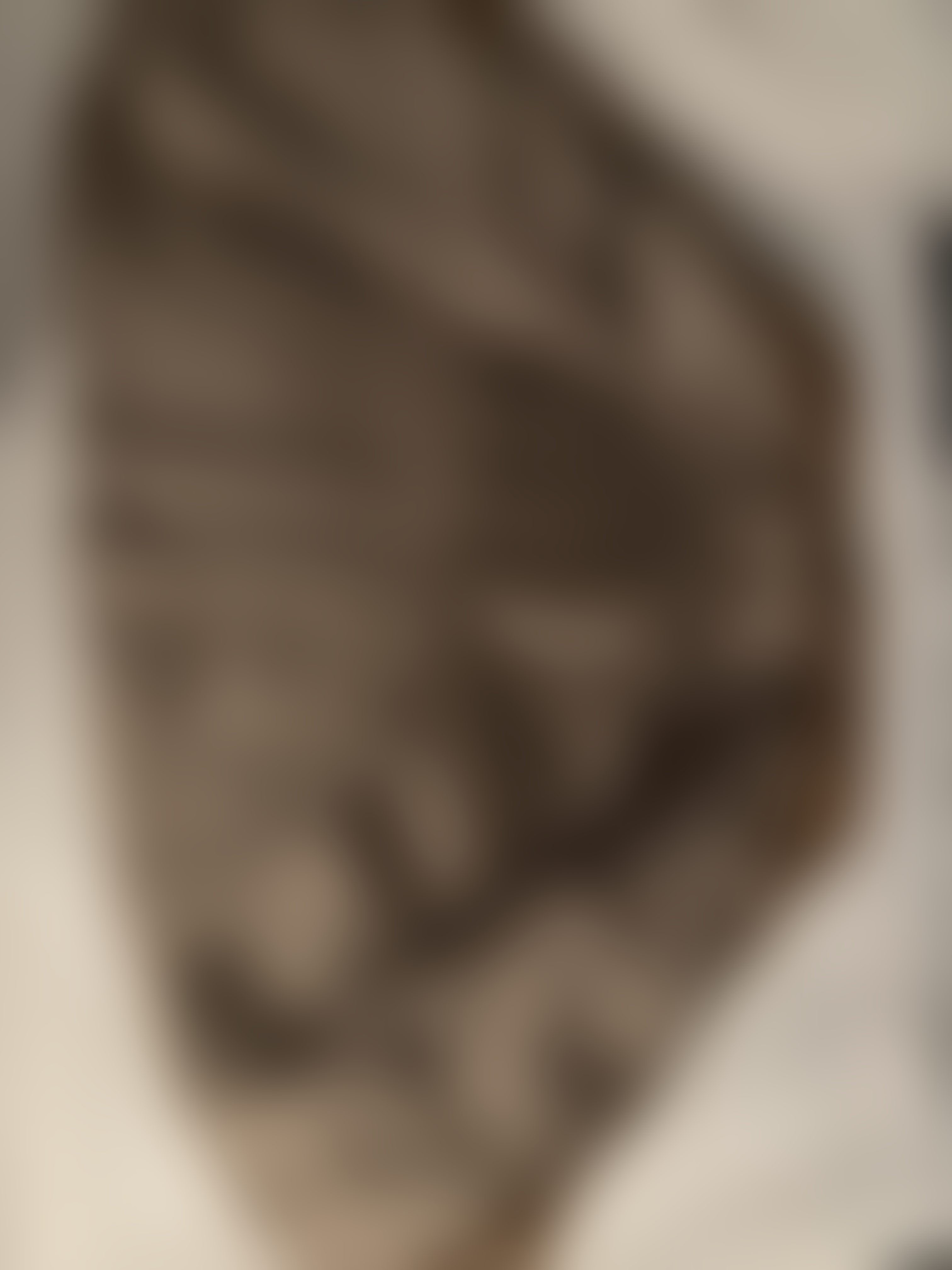 Eingereichtes Pelzstück – Beispiel 1 Bild 3