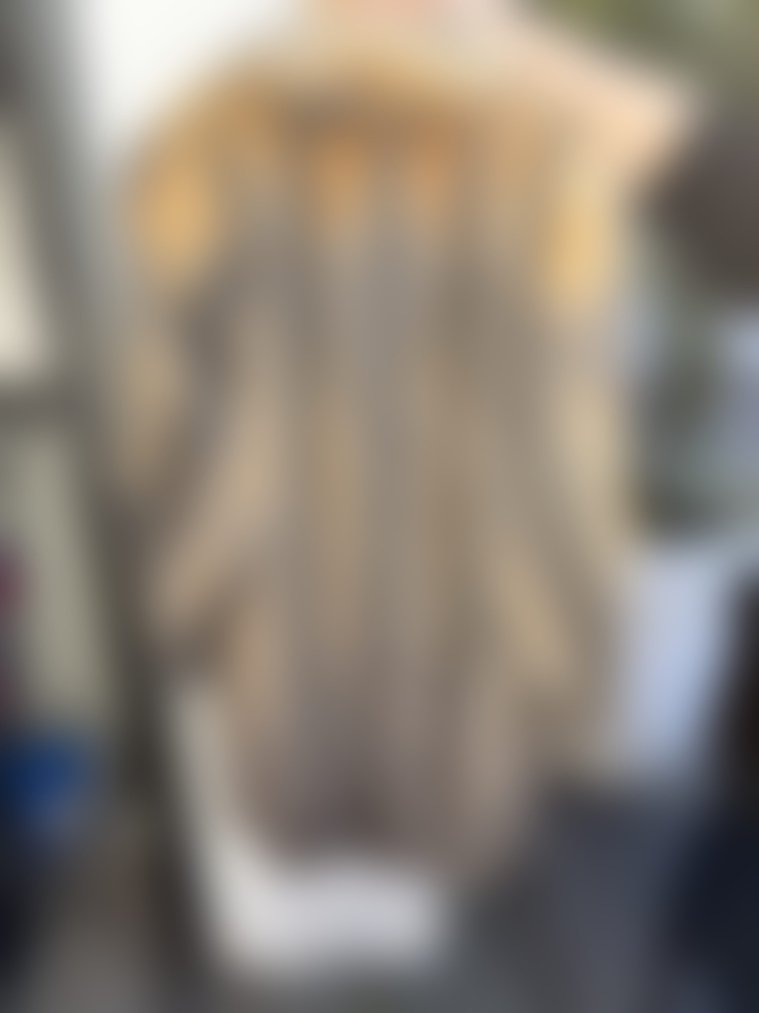 Eingereichtes Pelzstück – Beispiel 3 Bild 2