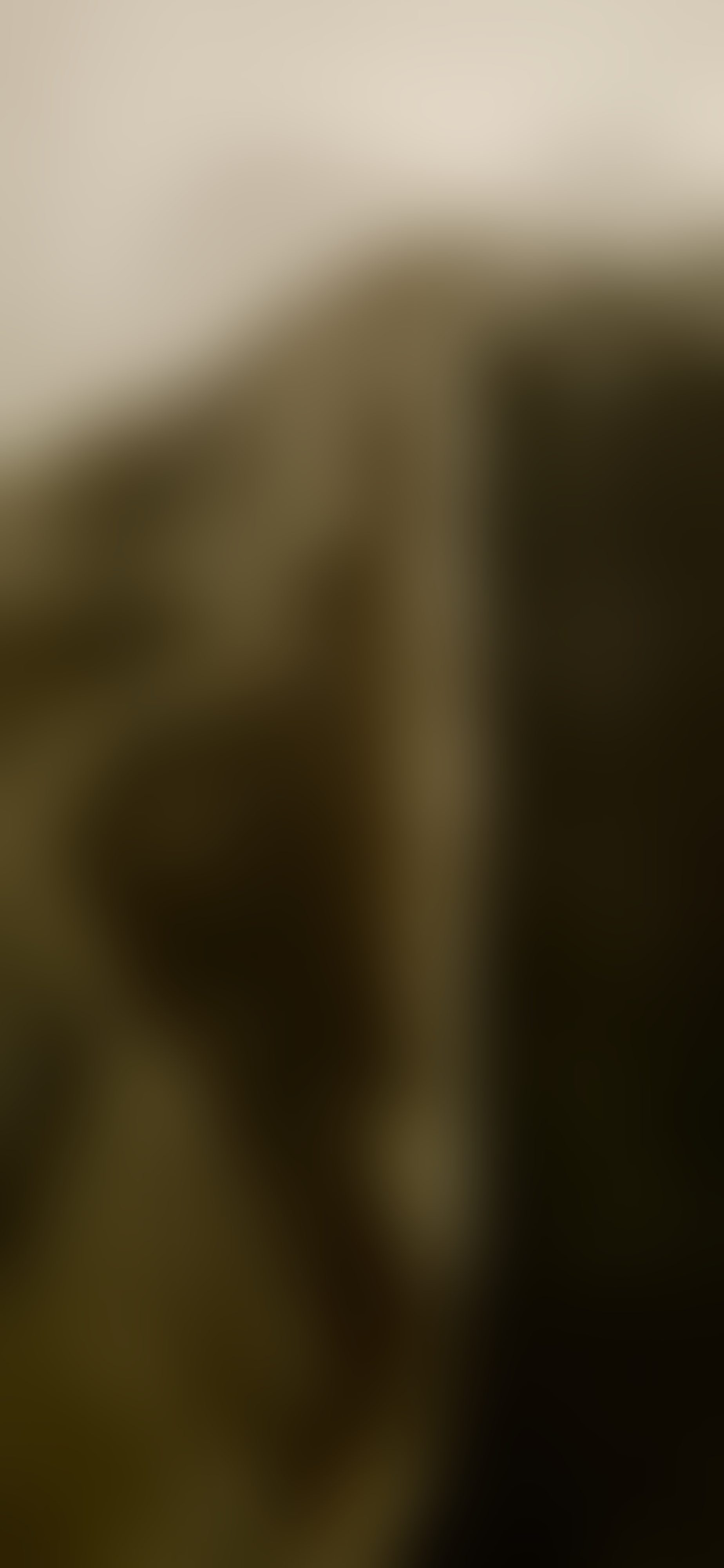 Eingereichtes Pelzstück – Beispiel 1 Bild 7