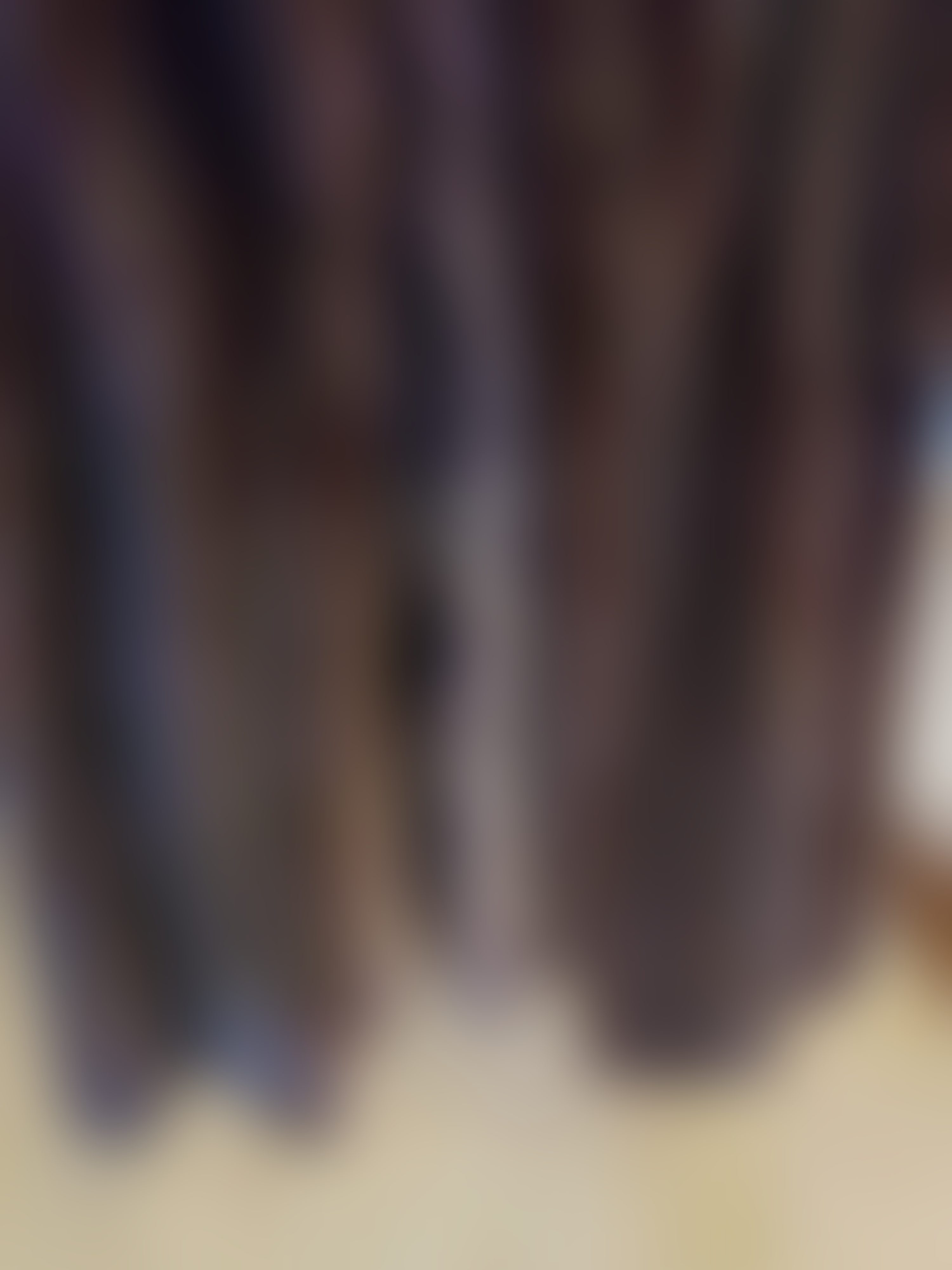 Eingereichtes Pelzstück – Beispiel 36.3 Bild 2