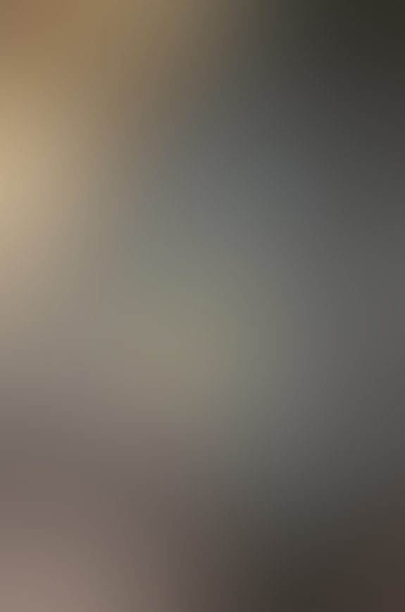 Eingereichtes Pelzstück – Beispiel 29 Bild 2