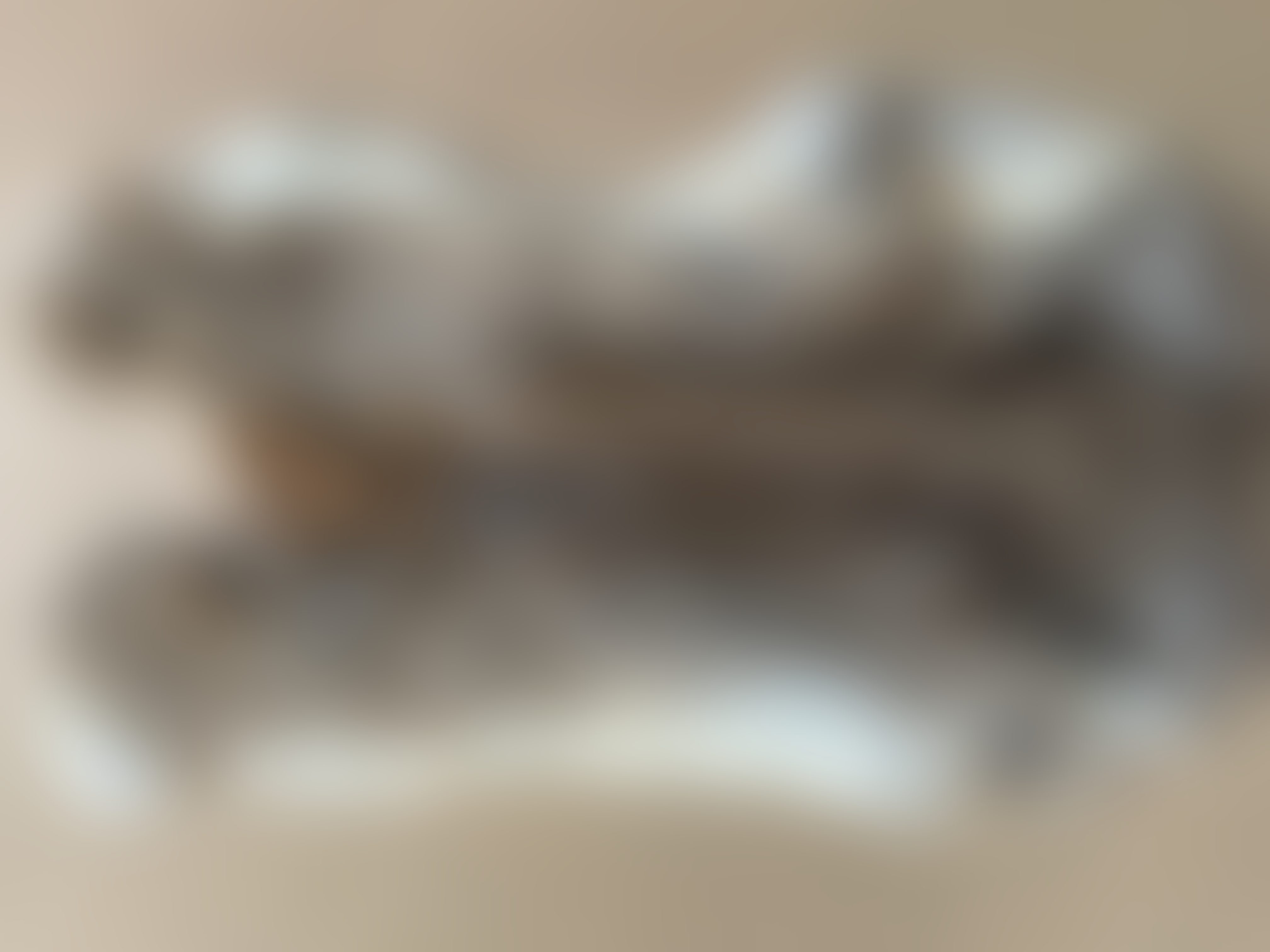 Eingereichtes Pelzstück – Beispiel 132.1 Bild 1